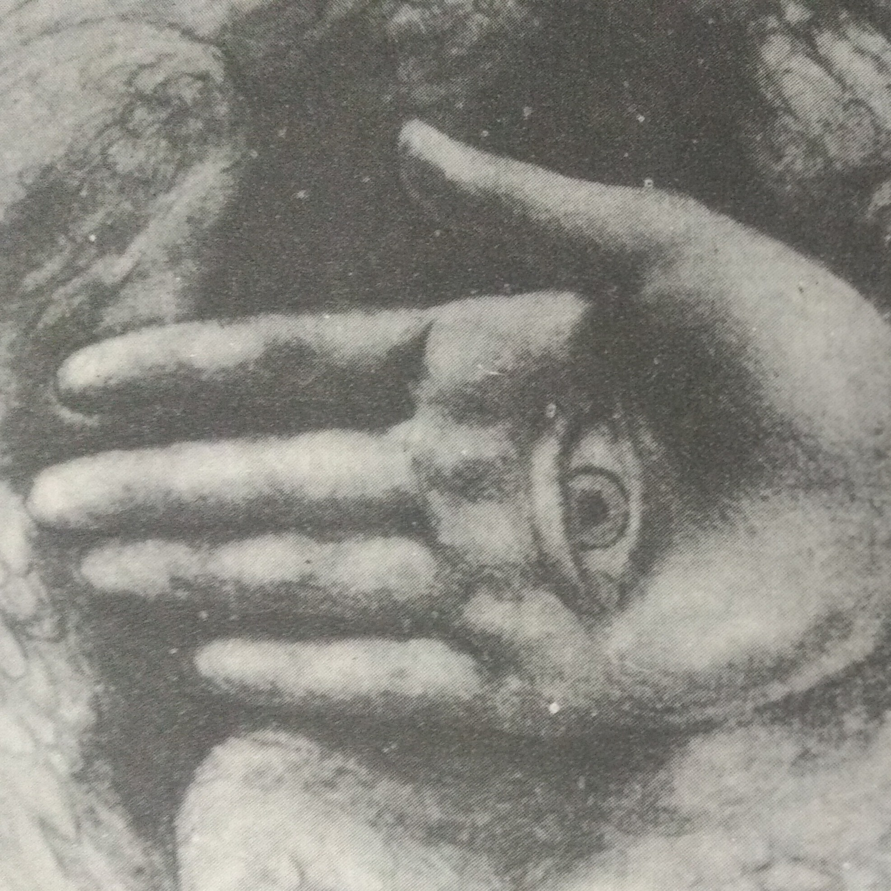 Leituras, Livros e Poemas by Ana Maria Castelo Branco