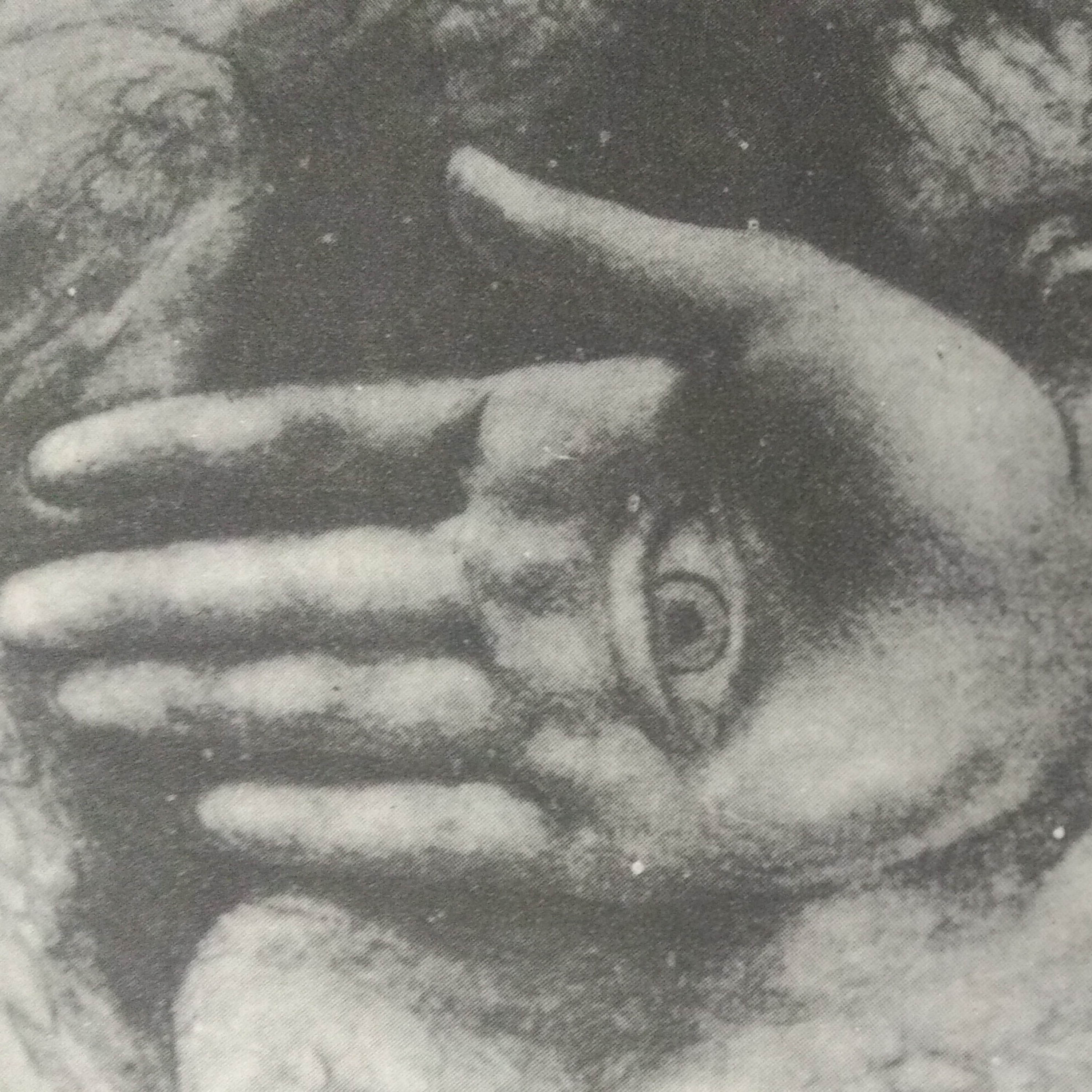 Leituras, Livros e Poemas by Ana Maria Castelo Branco