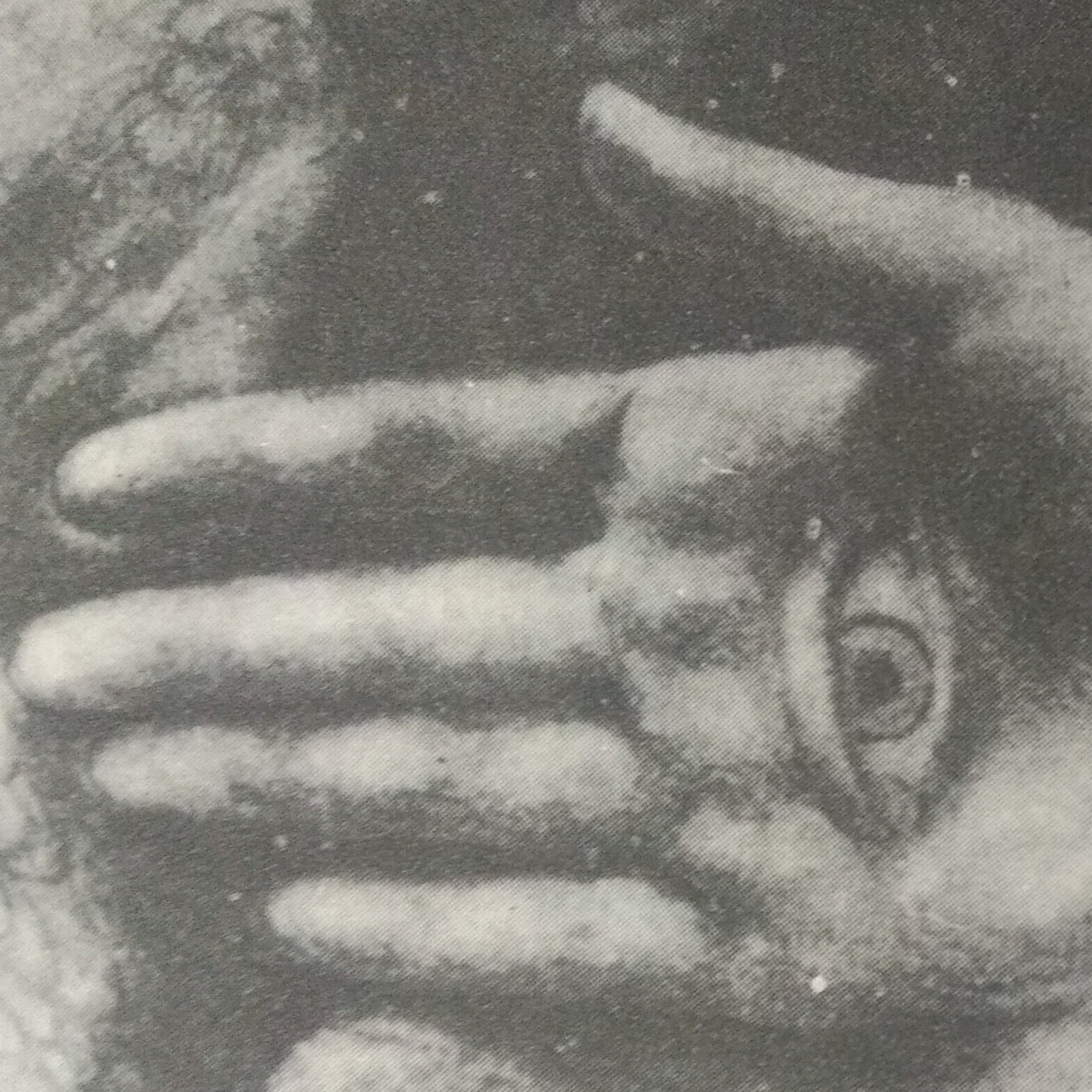 Leituras, Livros e Poemas by Ana Maria Castelo Branco