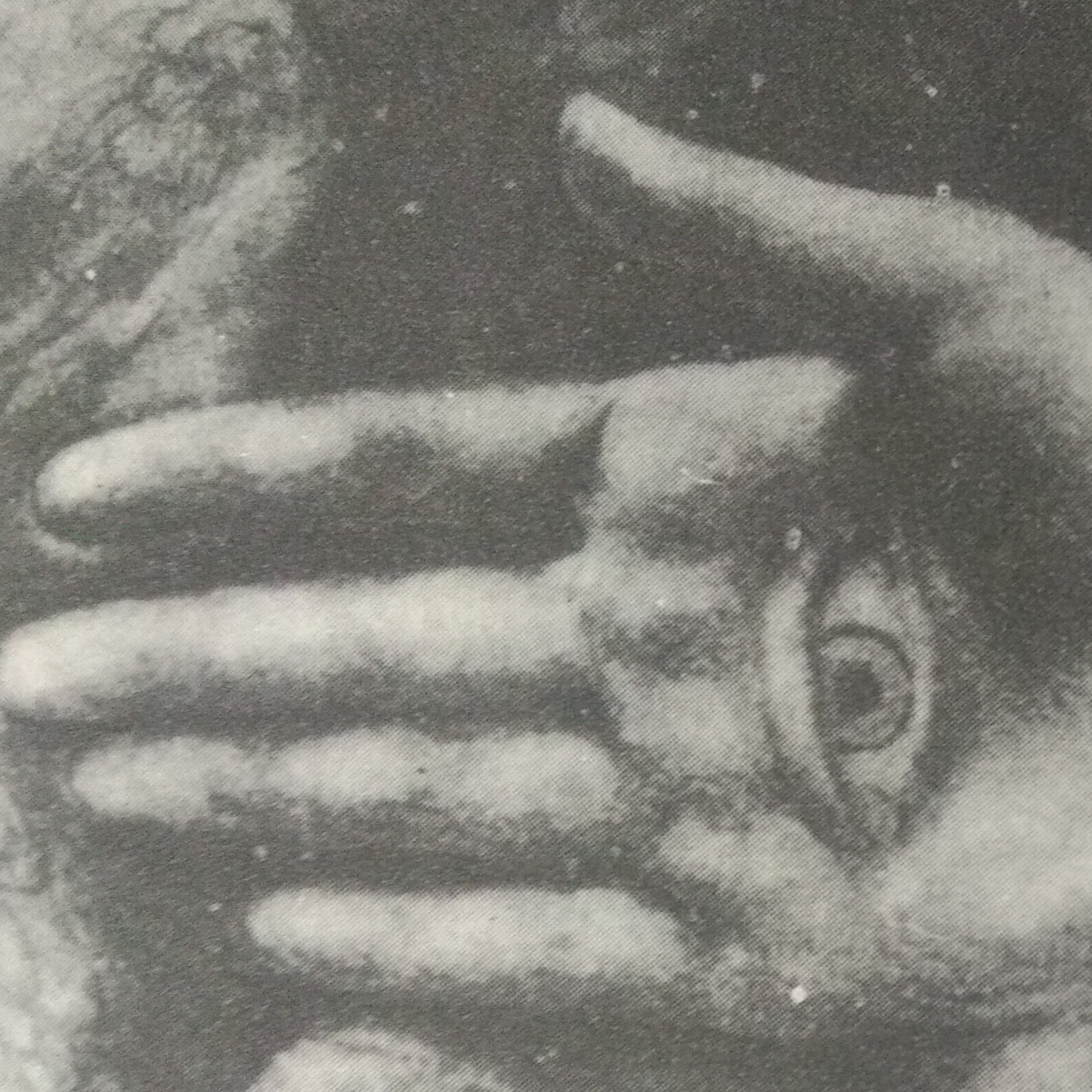 Leituras, Livros e Poemas by Ana Maria Castelo Branco