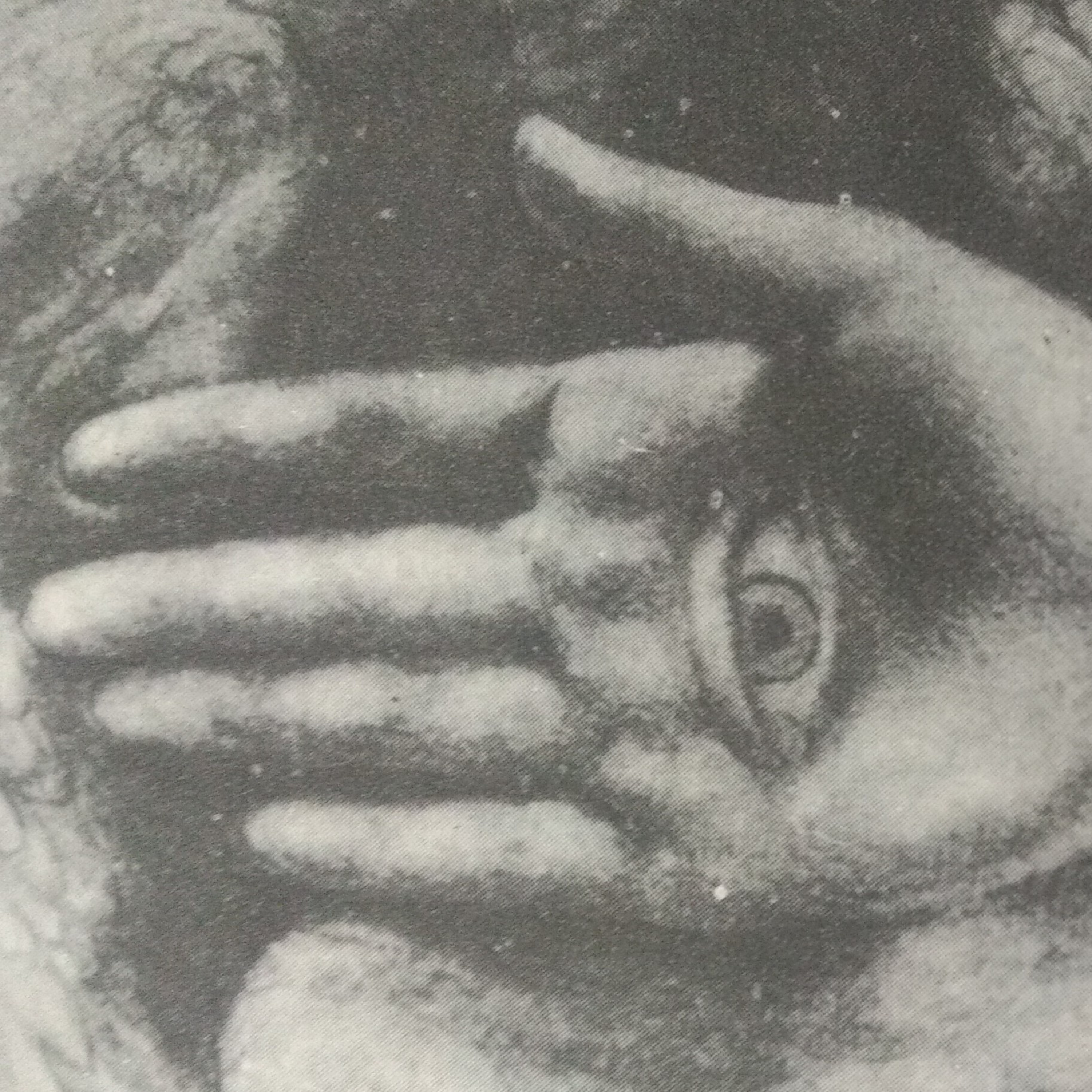 Leituras, Livros e Poemas by Ana Maria Castelo Branco