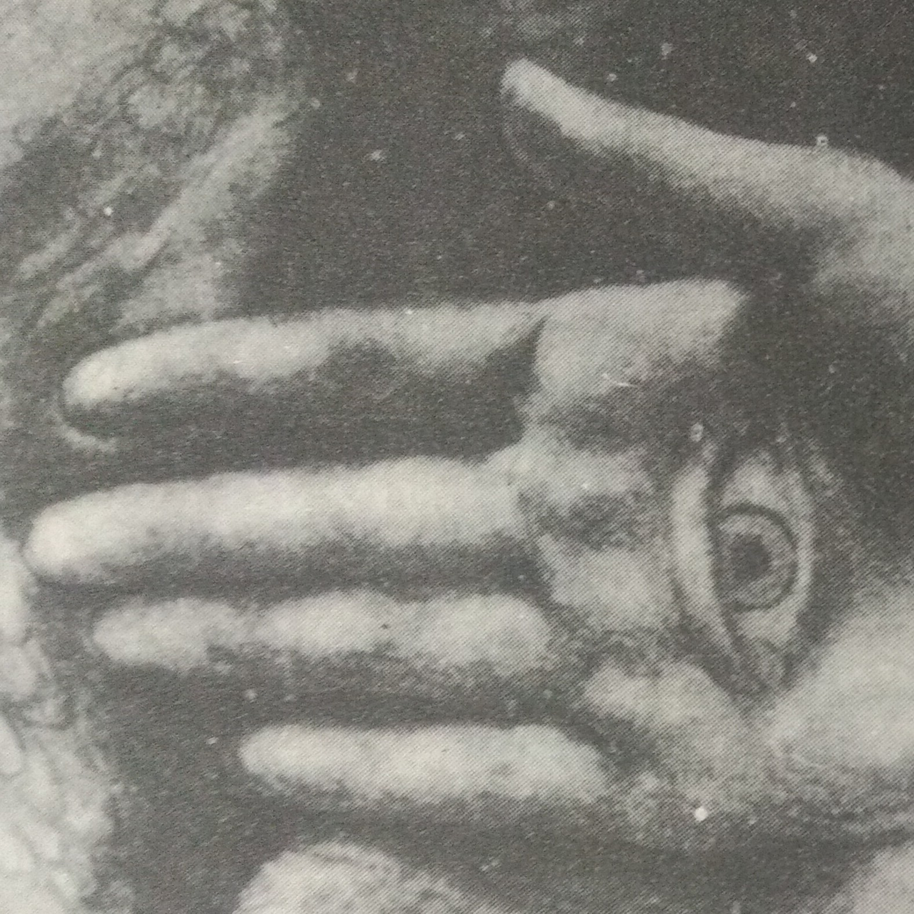 Leituras, Livros e Poemas by Ana Maria Castelo Branco