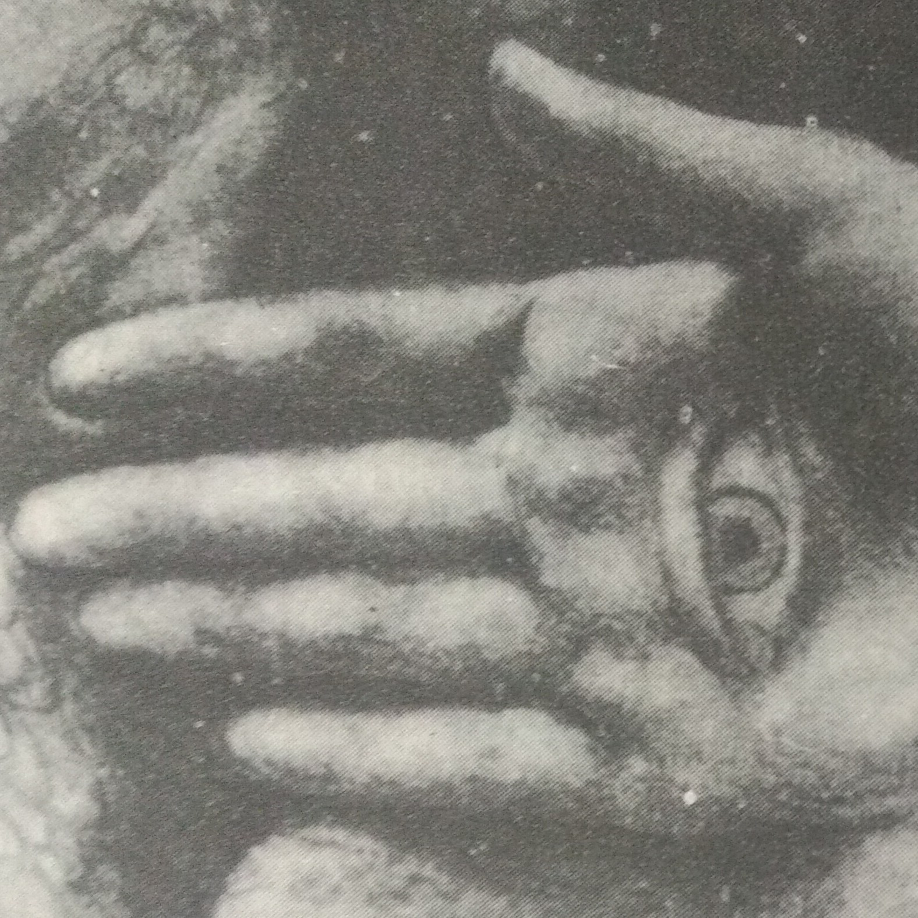 Leituras, Livros e Poemas by Ana Maria Castelo Branco