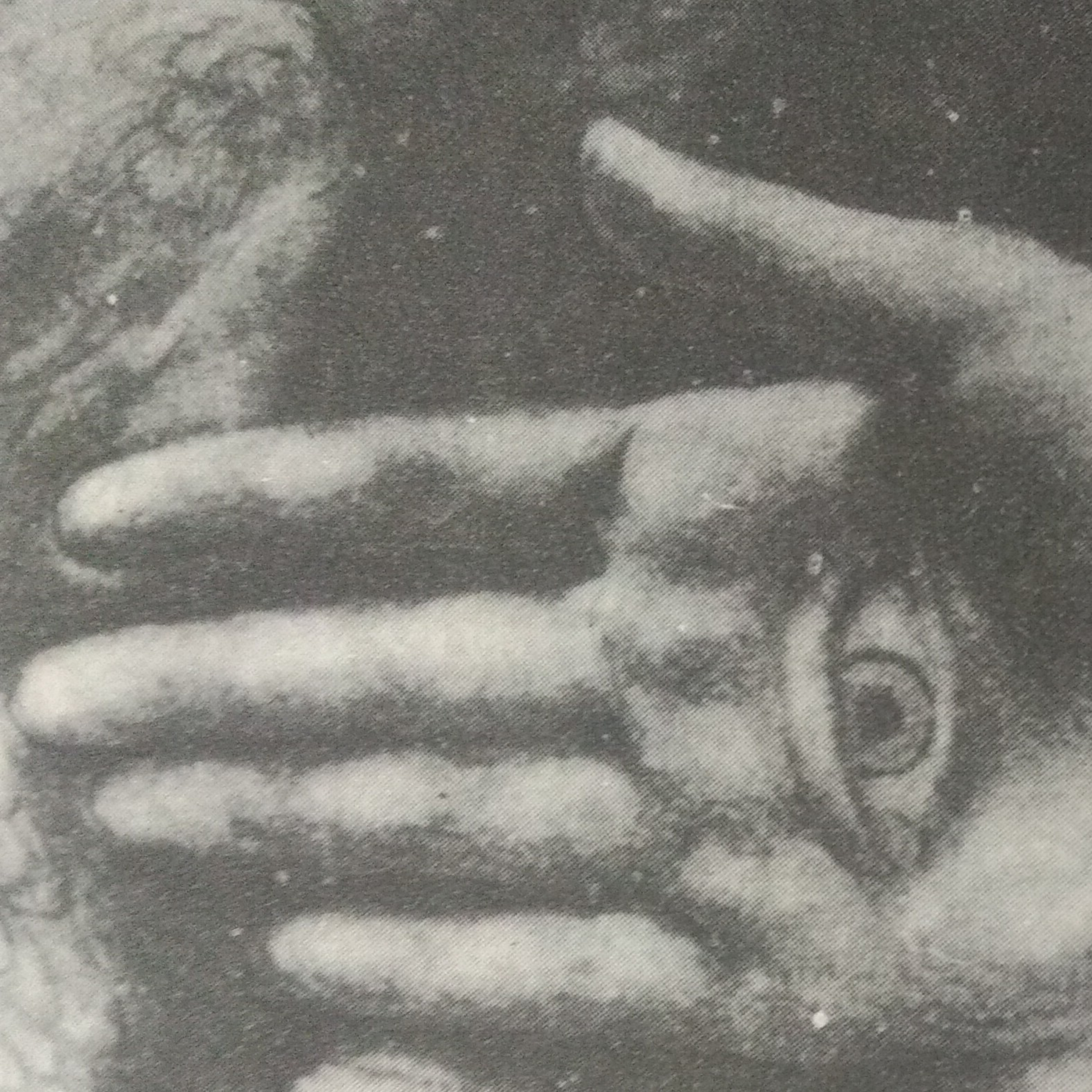 Leituras, Livros e Poemas by Ana Maria Castelo Branco