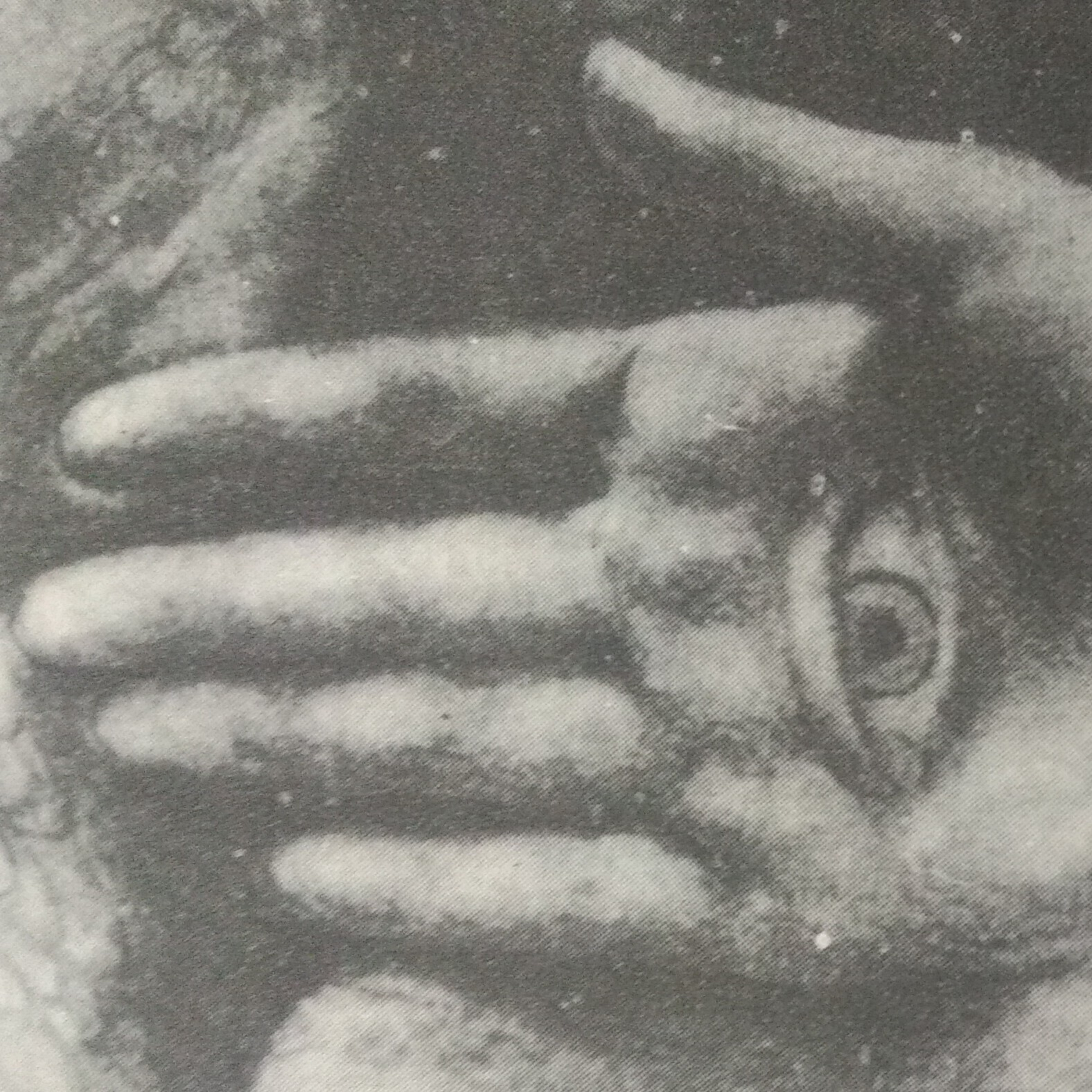 Leituras, Livros e Poemas by Ana Maria Castelo Branco