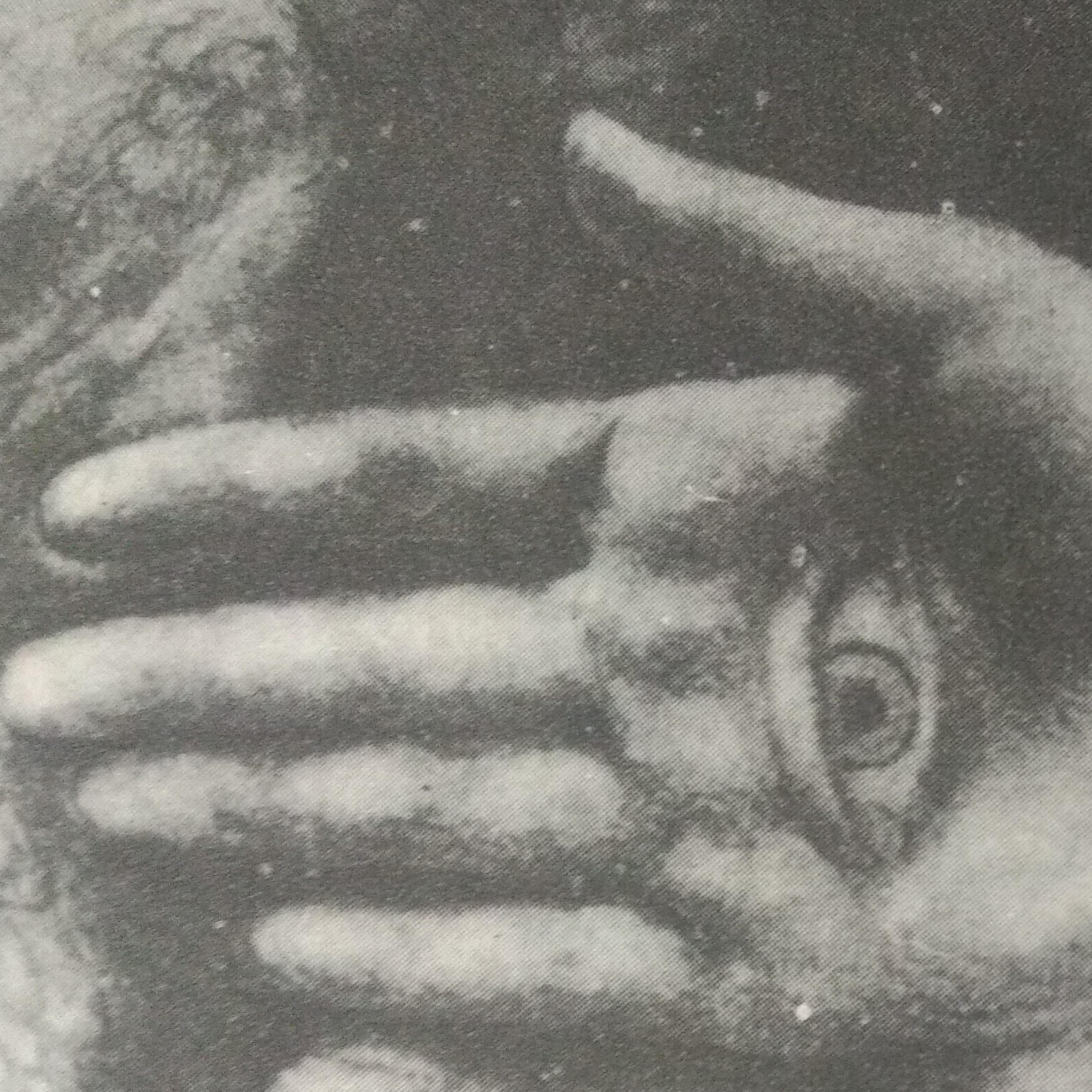 Leituras, Livros e Poemas by Ana Maria Castelo Branco