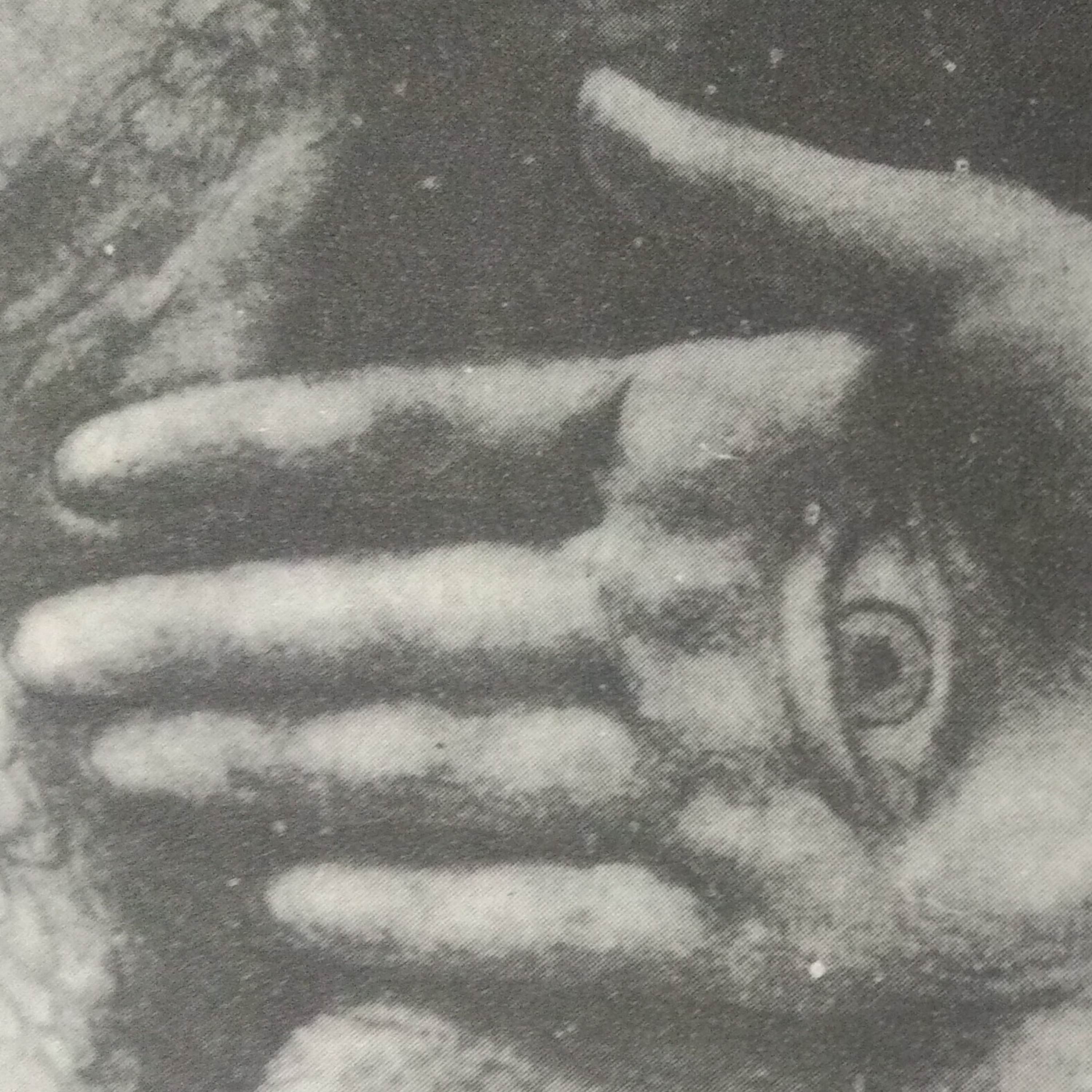 Leituras, Livros e Poemas by Ana Maria Castelo Branco