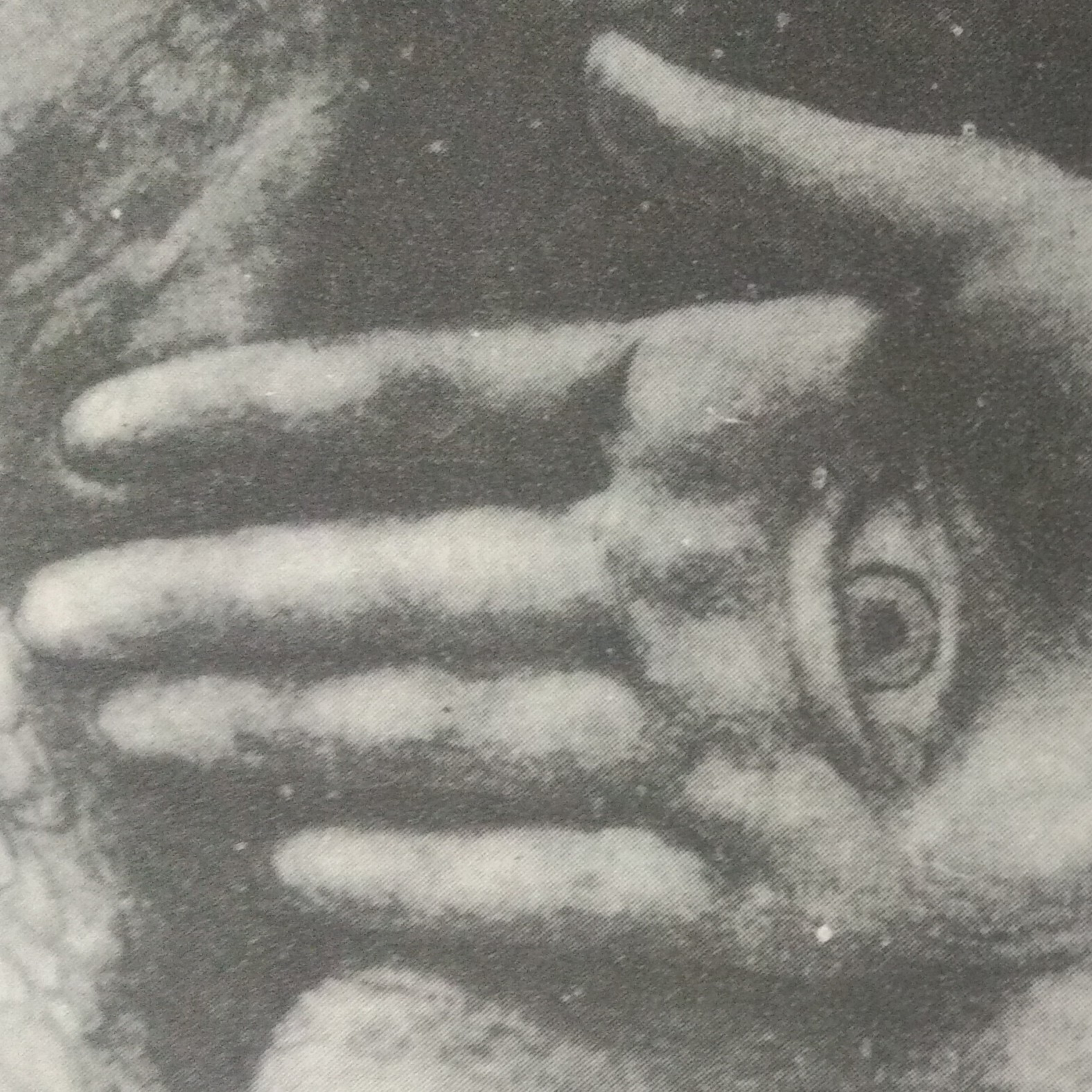 Leituras, Livros e Poemas by Ana Maria Castelo Branco