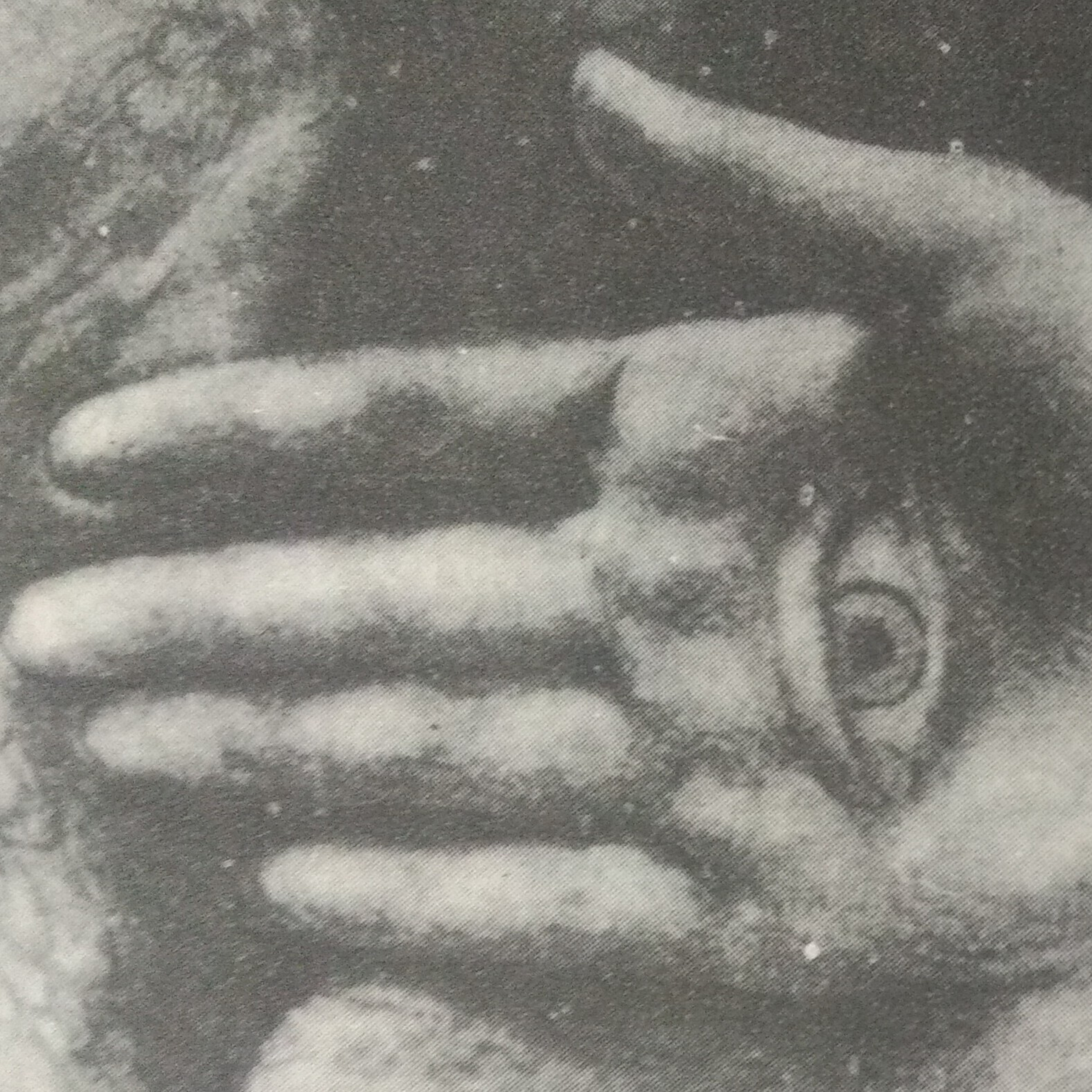 Leituras, Livros e Poemas by Ana Maria Castelo Branco