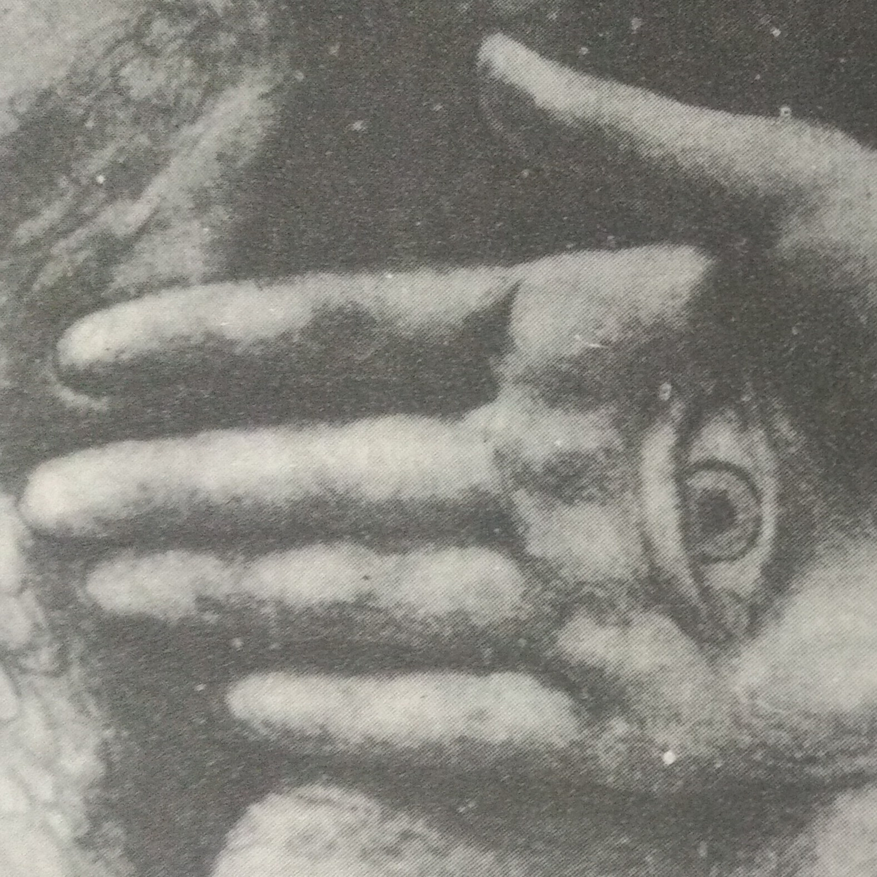 Leituras, Livros e Poemas by Ana Maria Castelo Branco