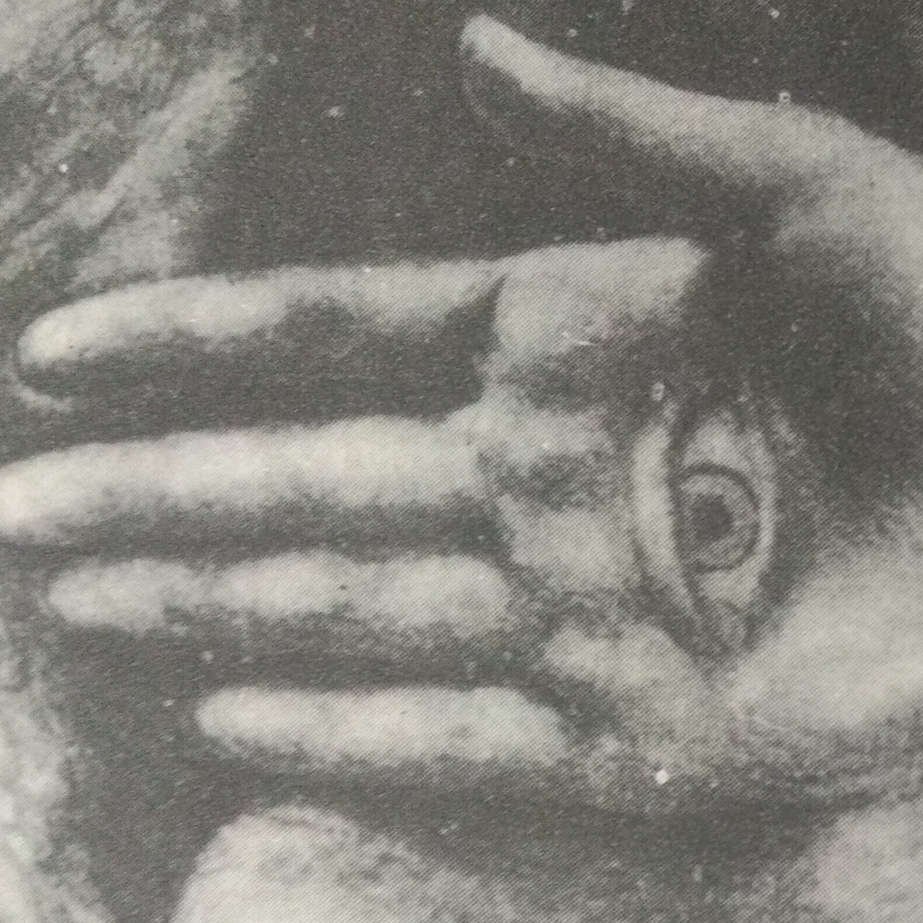 Leituras, Livros e Poemas by Ana Maria Castelo Branco