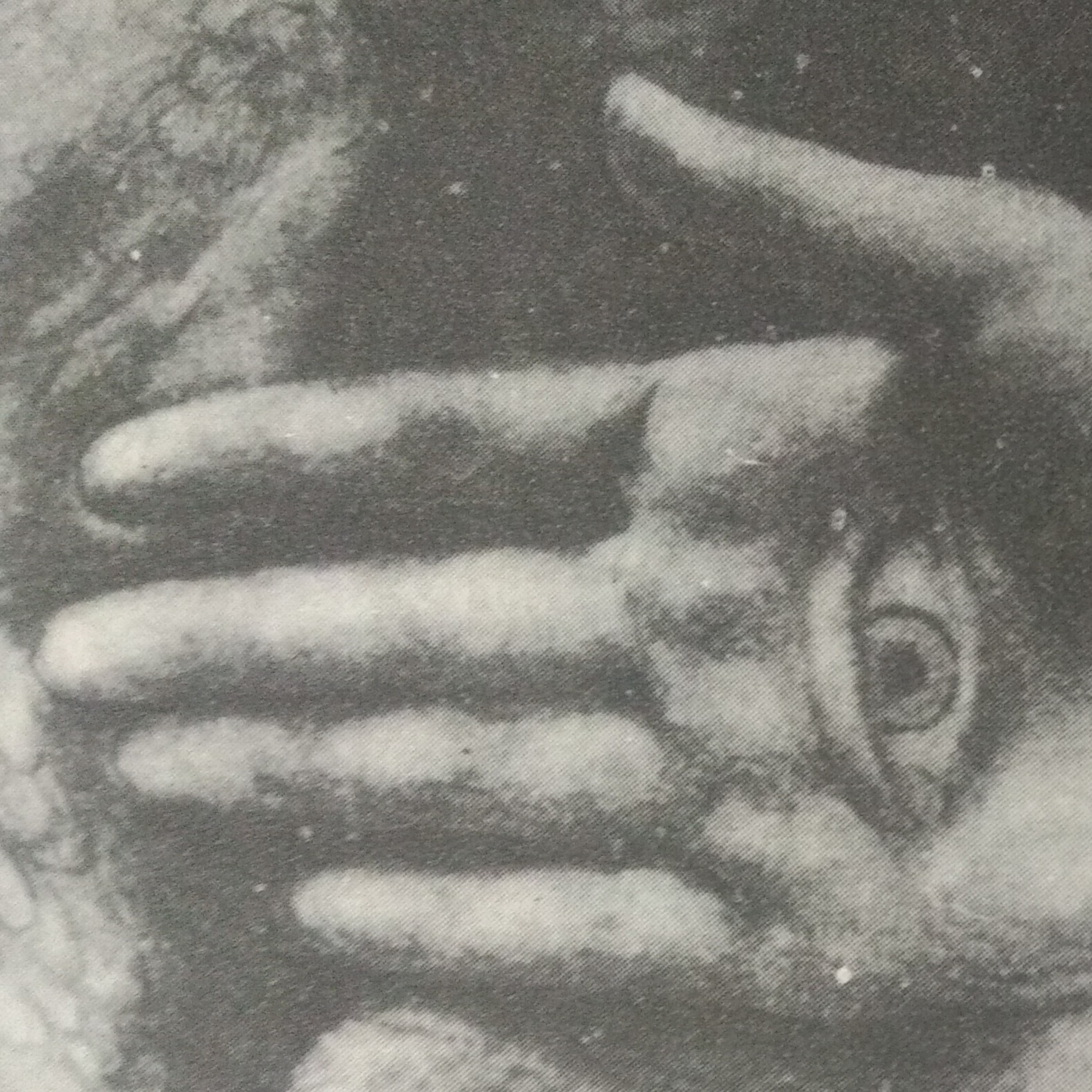 Leituras, Livros e Poemas by Ana Maria Castelo Branco