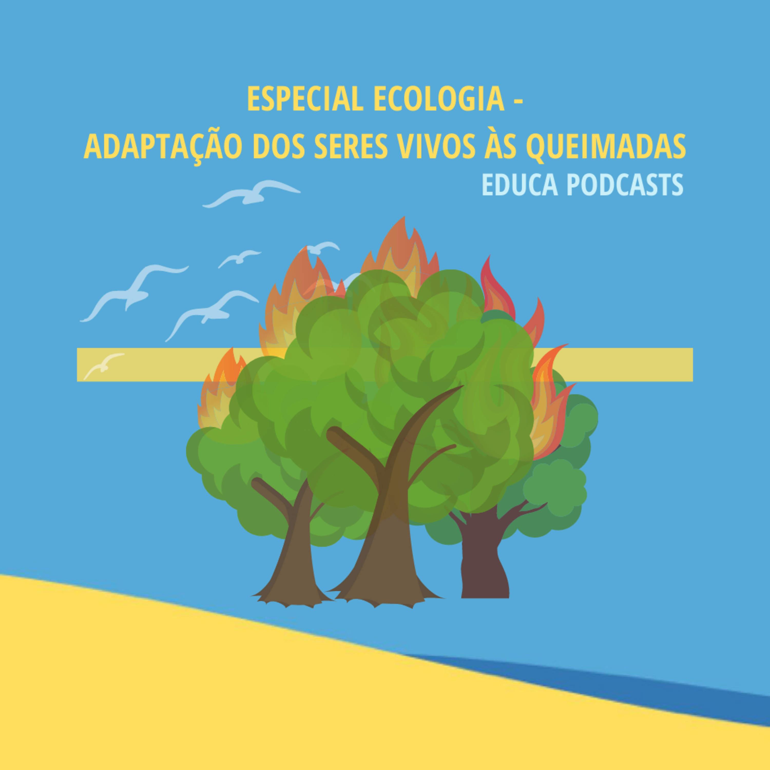 Educa Podcasts