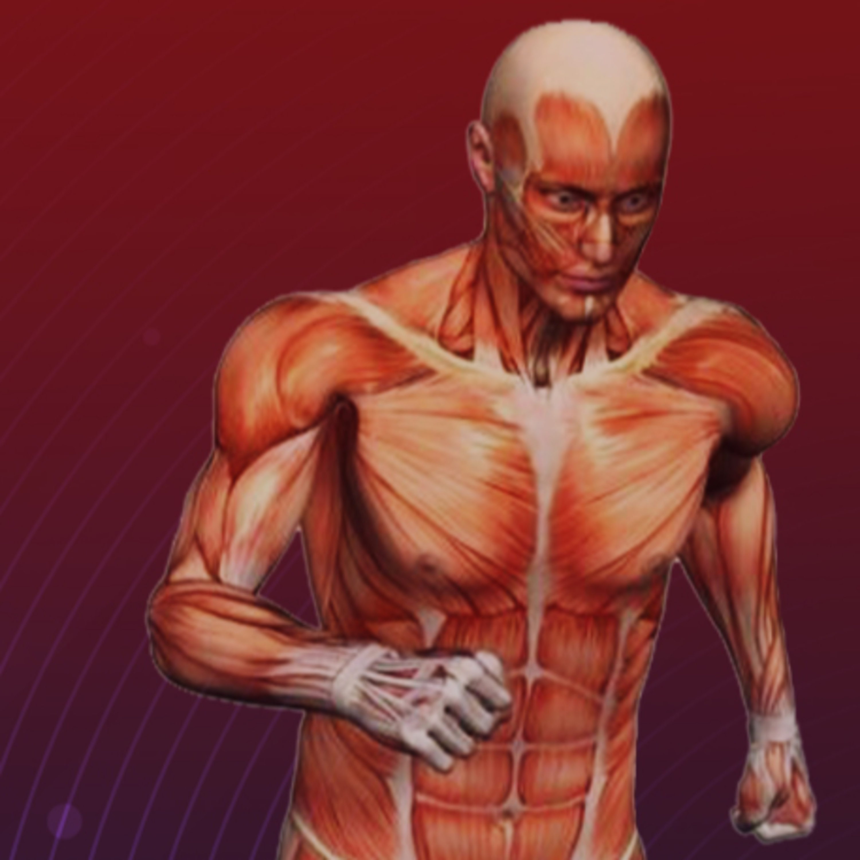 Portal Obidense - Walmir