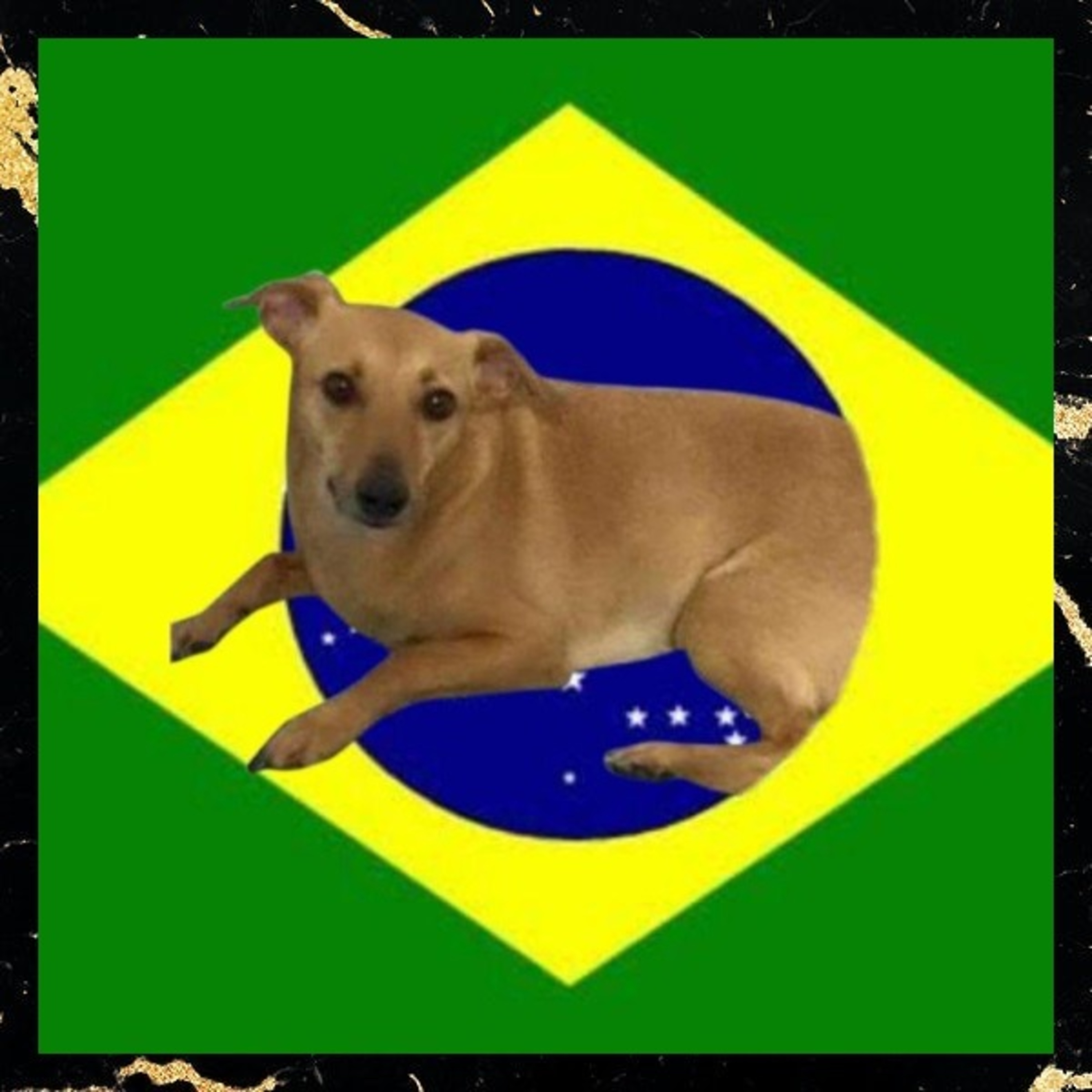 Hora do Texugo 62 - Você Conhece o Brasil? - Teste do Buzzfeed episode artwork
