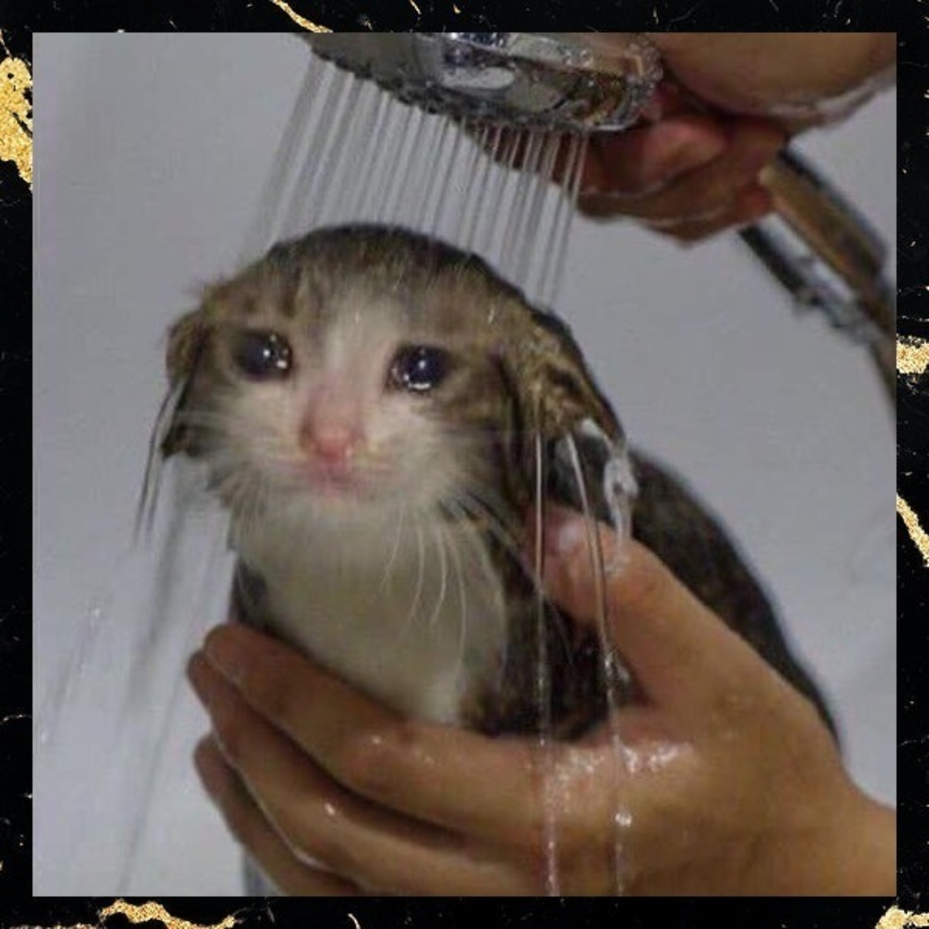 Hora do Texugo