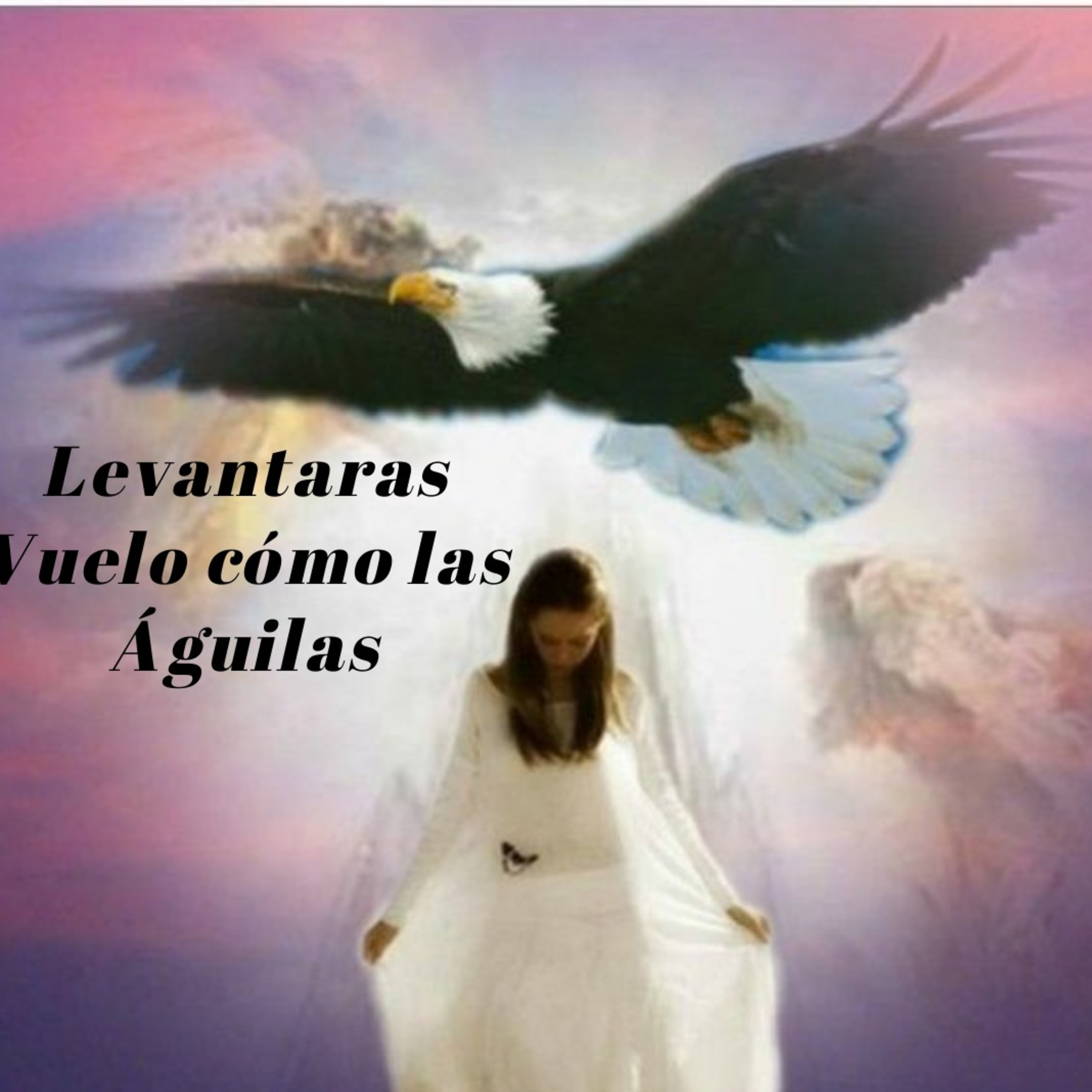 Levantaras Vuelo cómo las Ćguilas