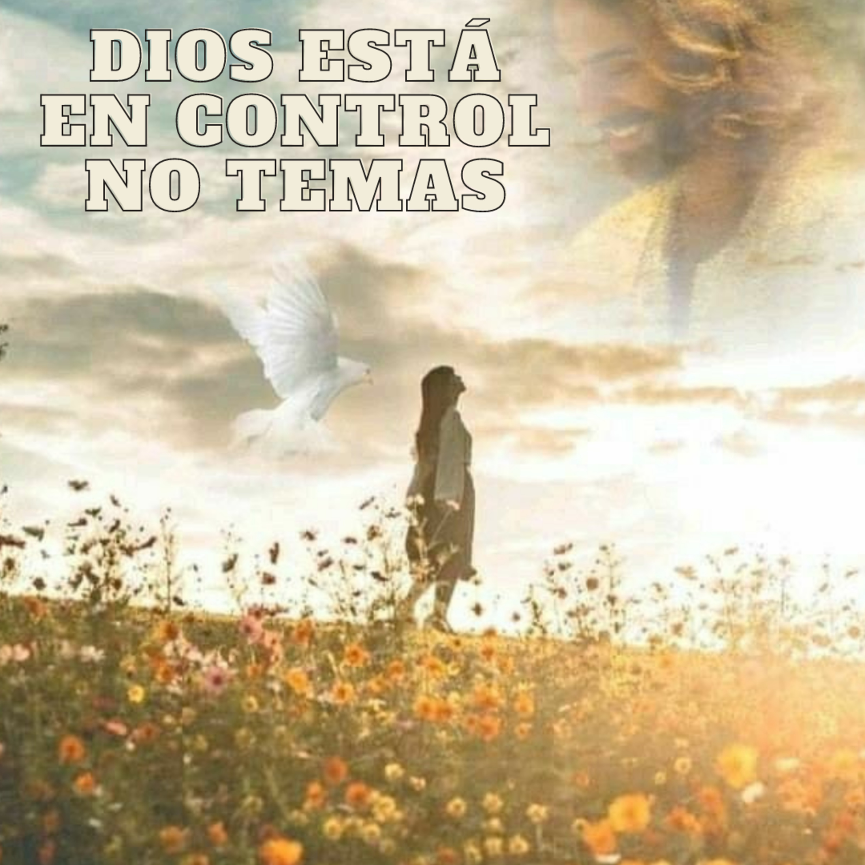 Dios estĆ” en Control no Temas