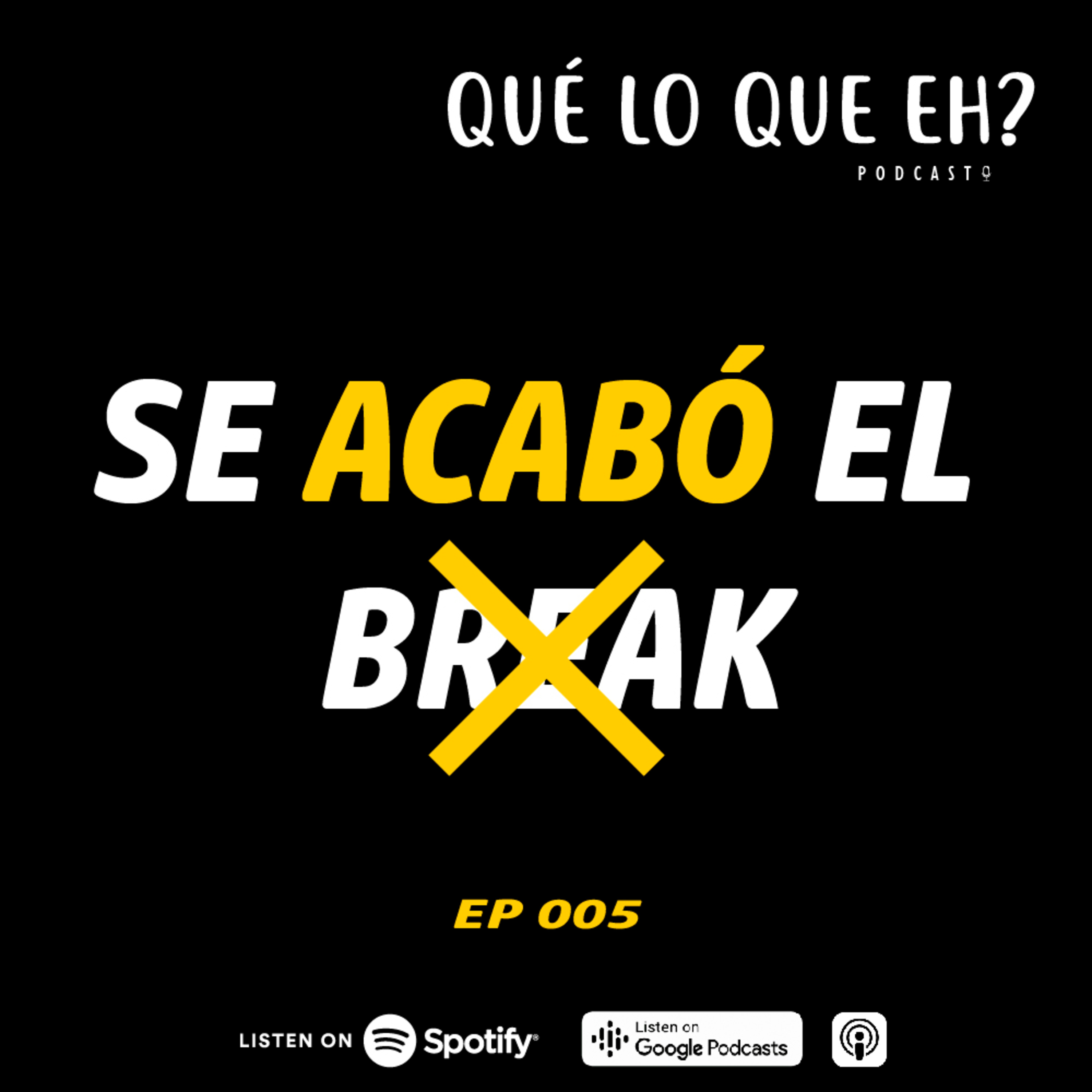 005. SE ACABÓ EL BREAK episode artwork