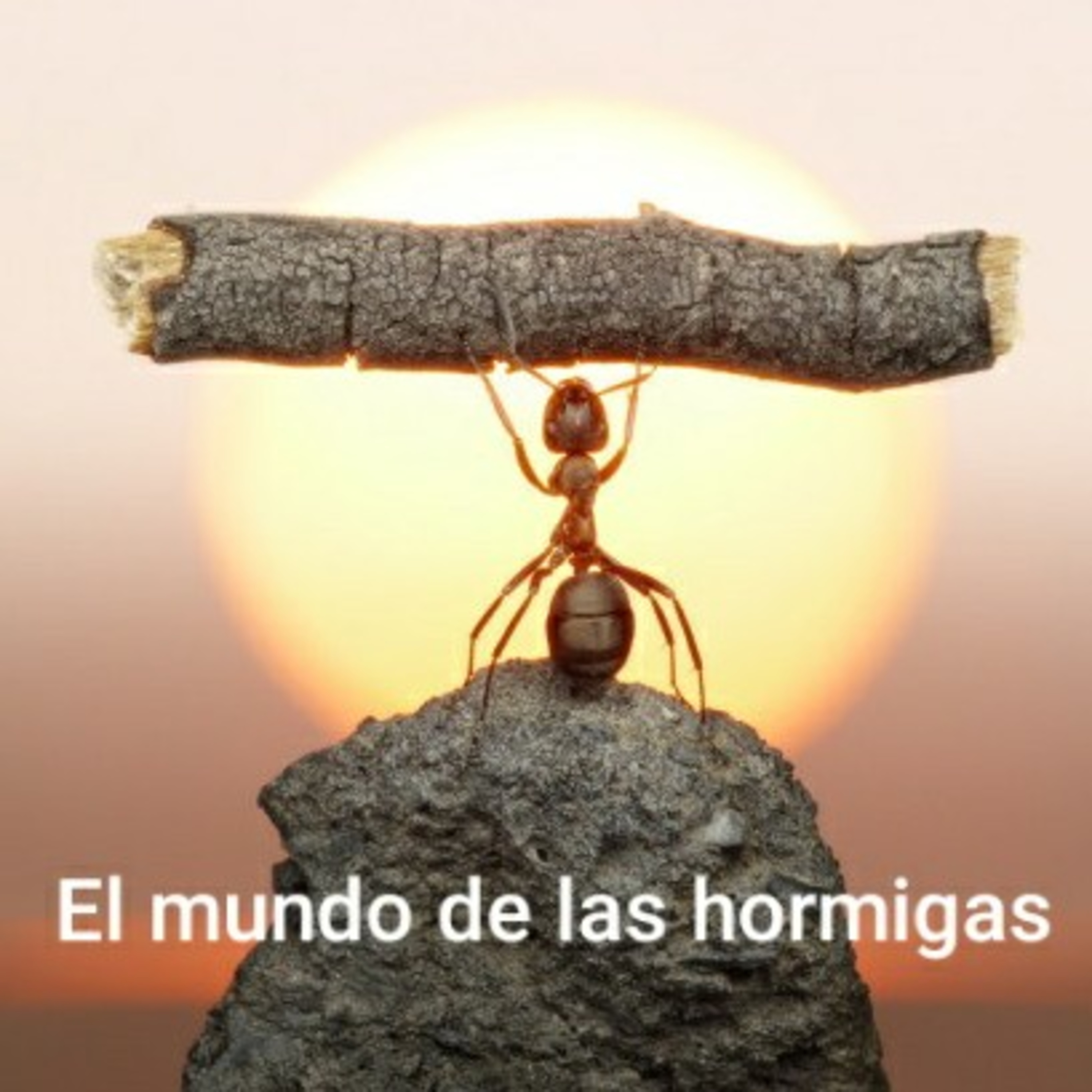 Historias y Cuentos Ynca Sosa