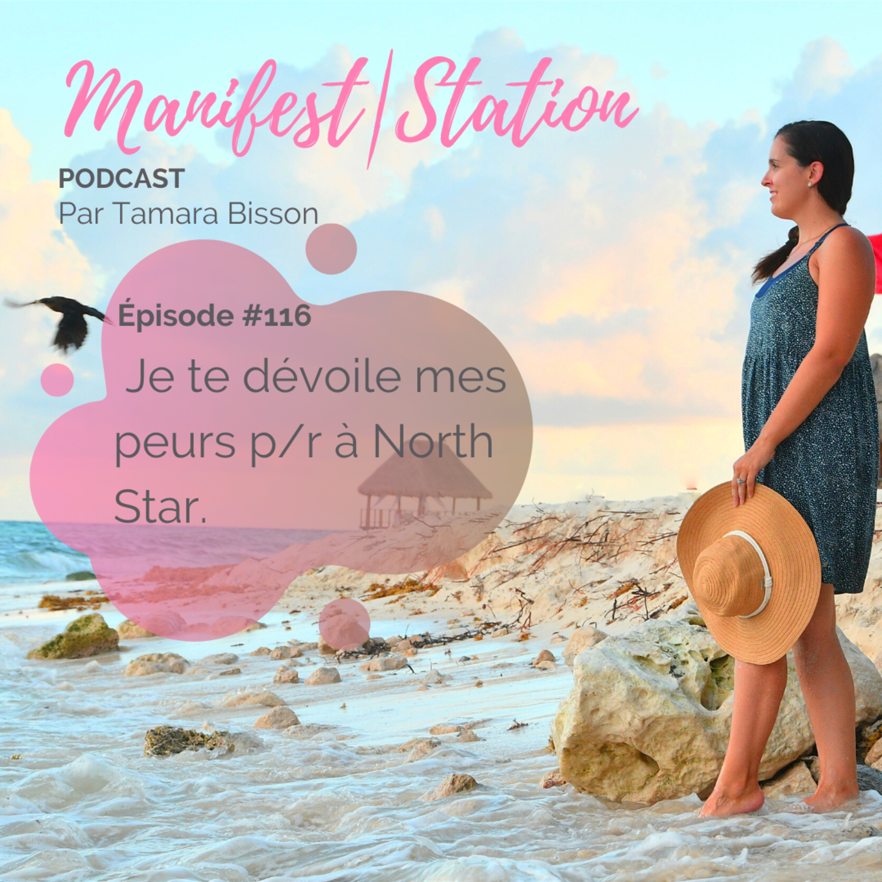  Épisode #116: Je te dévoile mes peurs p/r à North Star. episode artwork