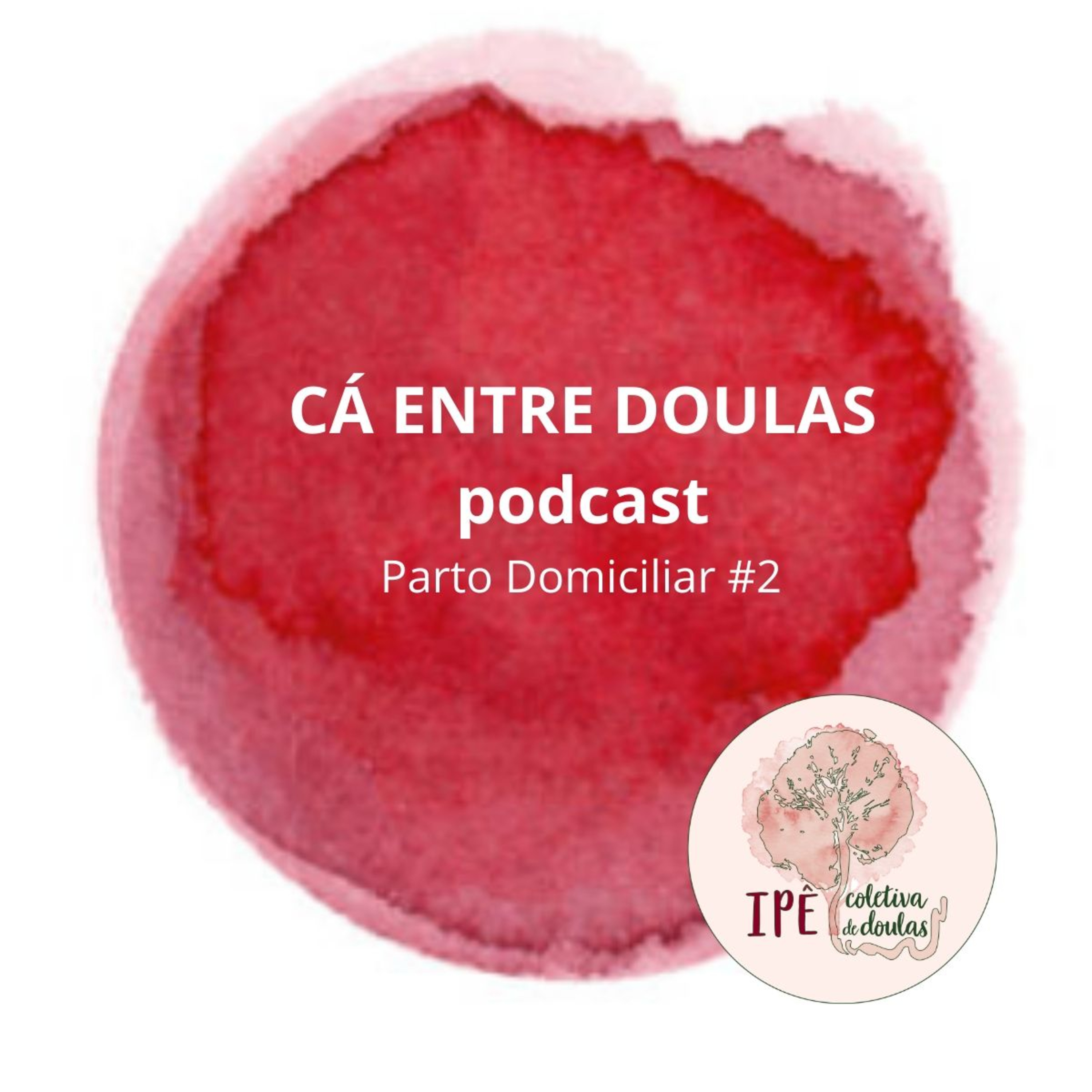 Cá entre Doulas