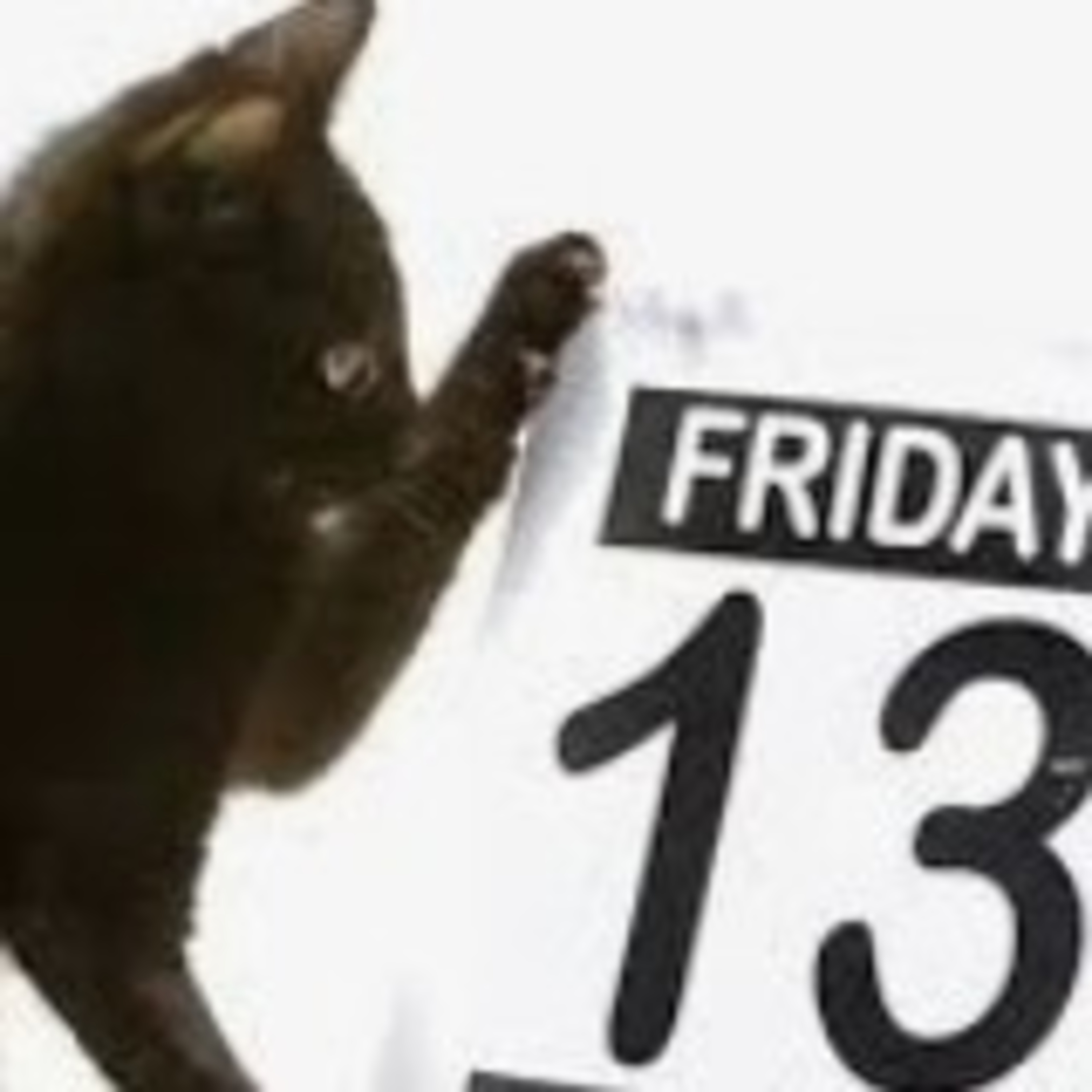 Trece gatos negros