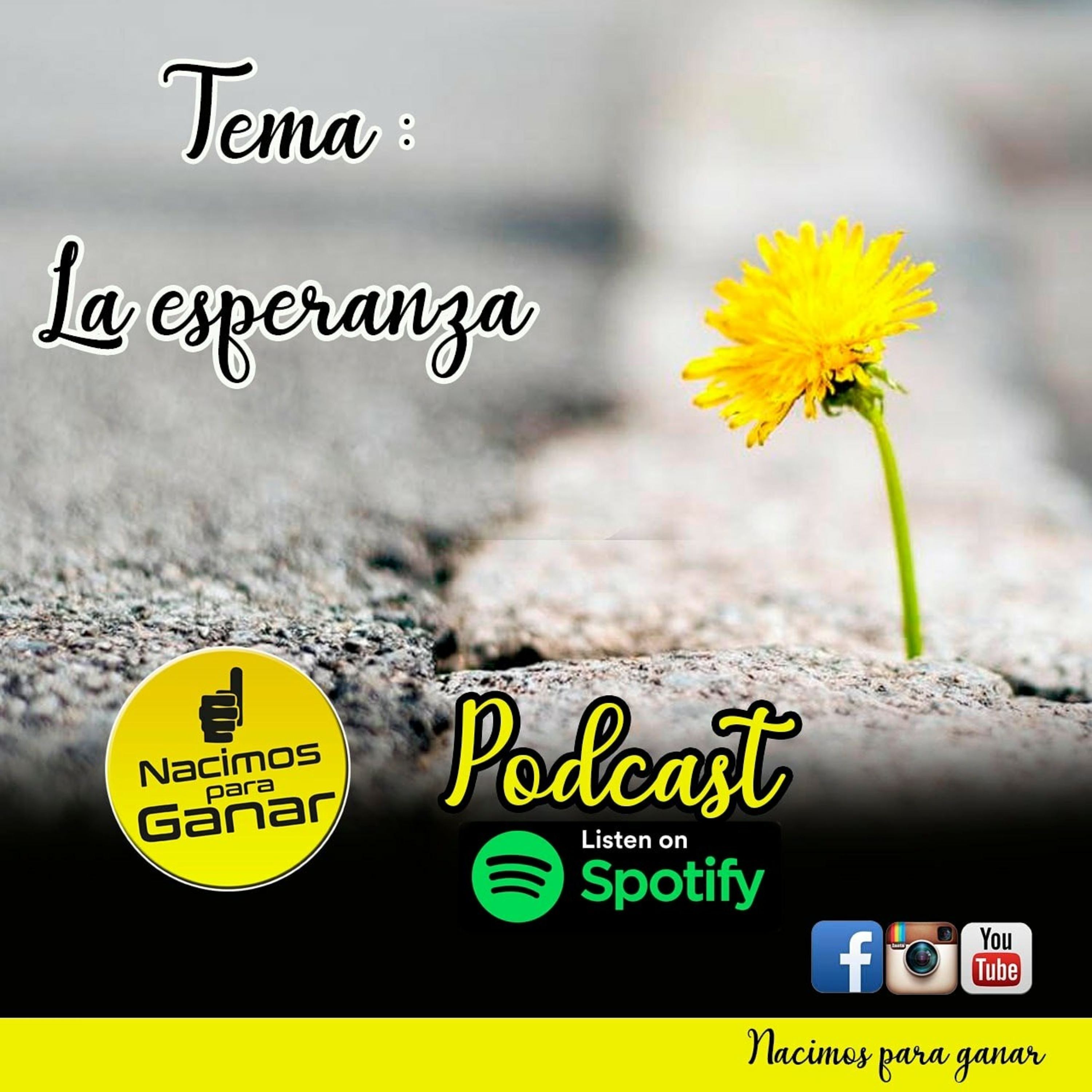 Nacimos Para Ganar