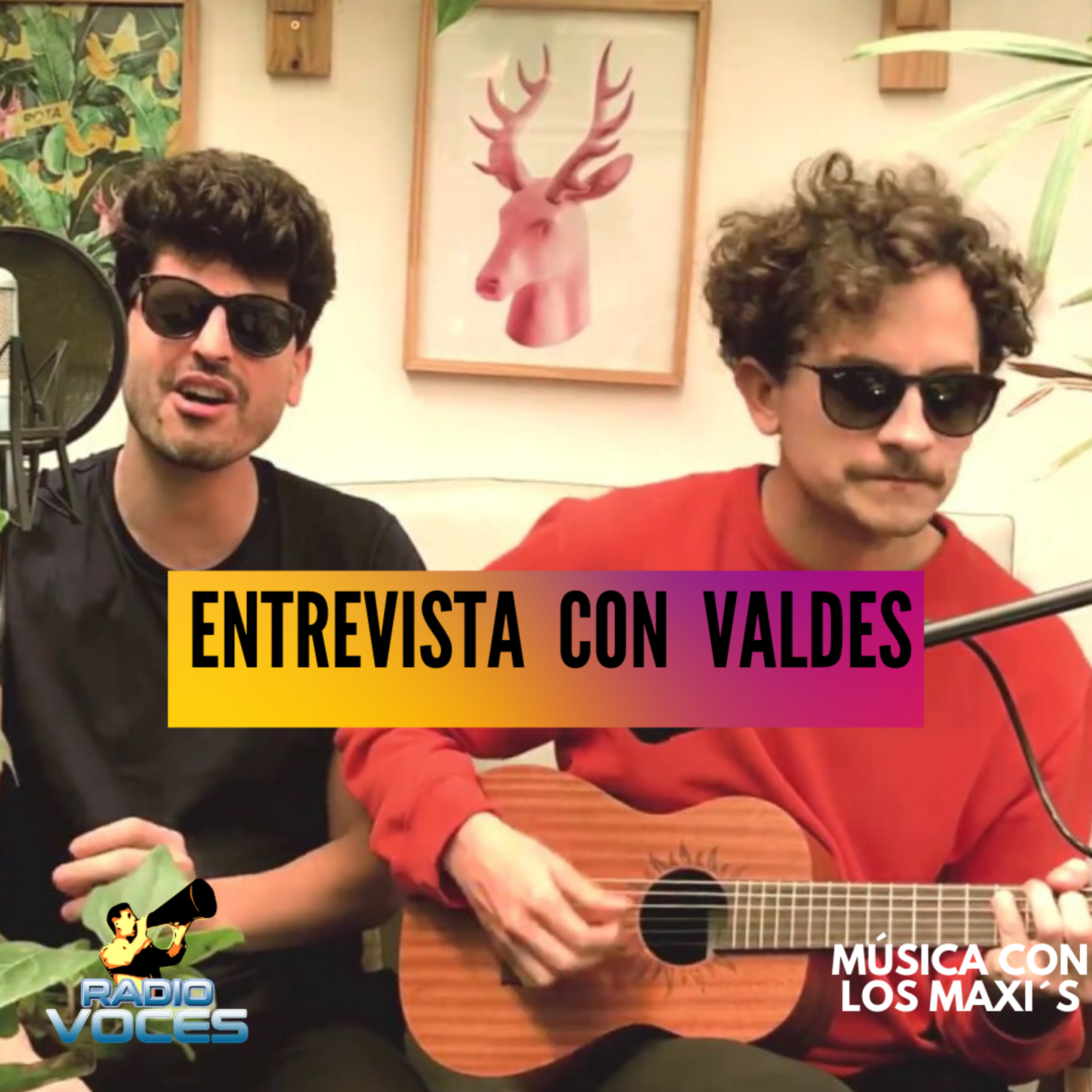 Radio Voces