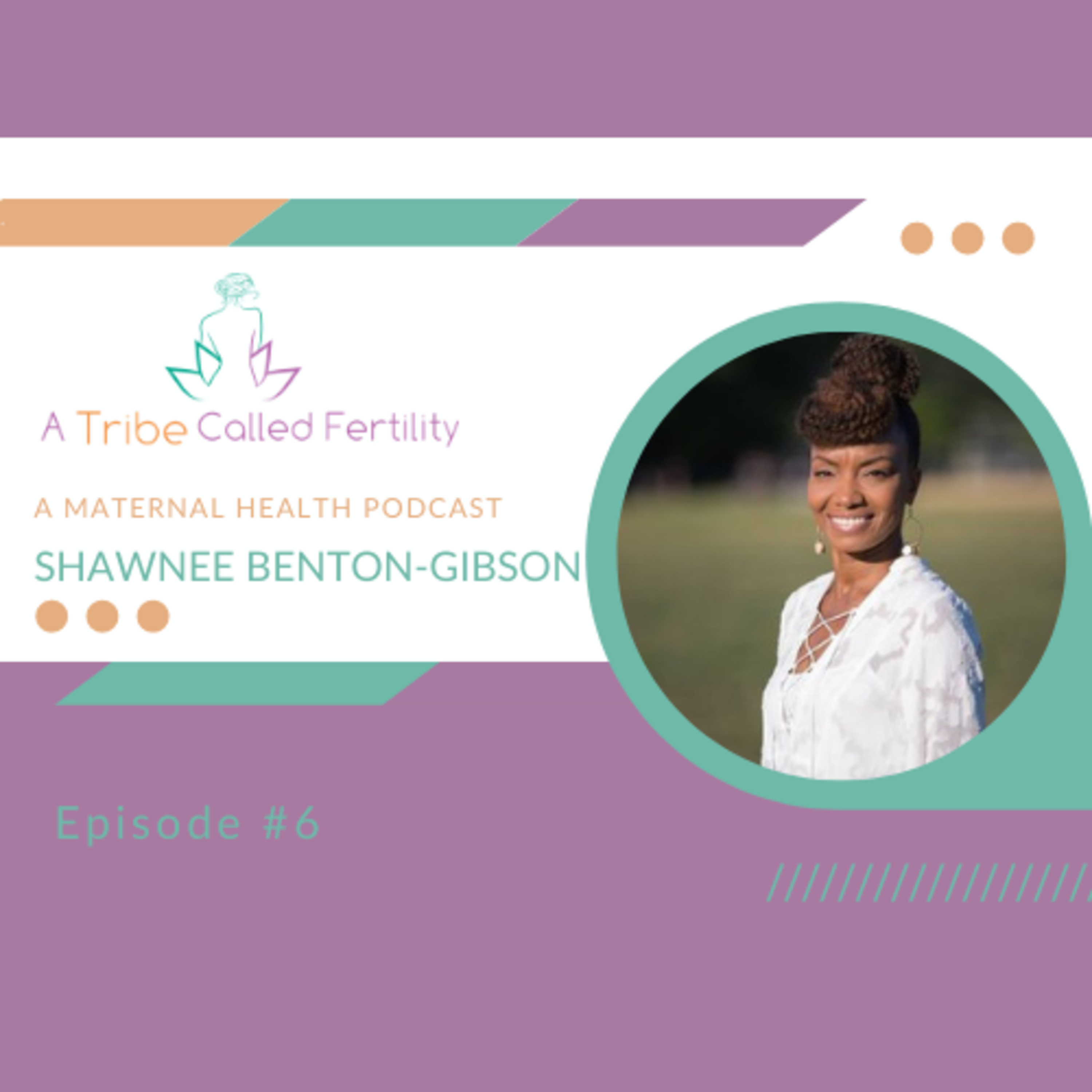 Pregnancy & Maternal Loss: Black Wombs Matter episode artwork