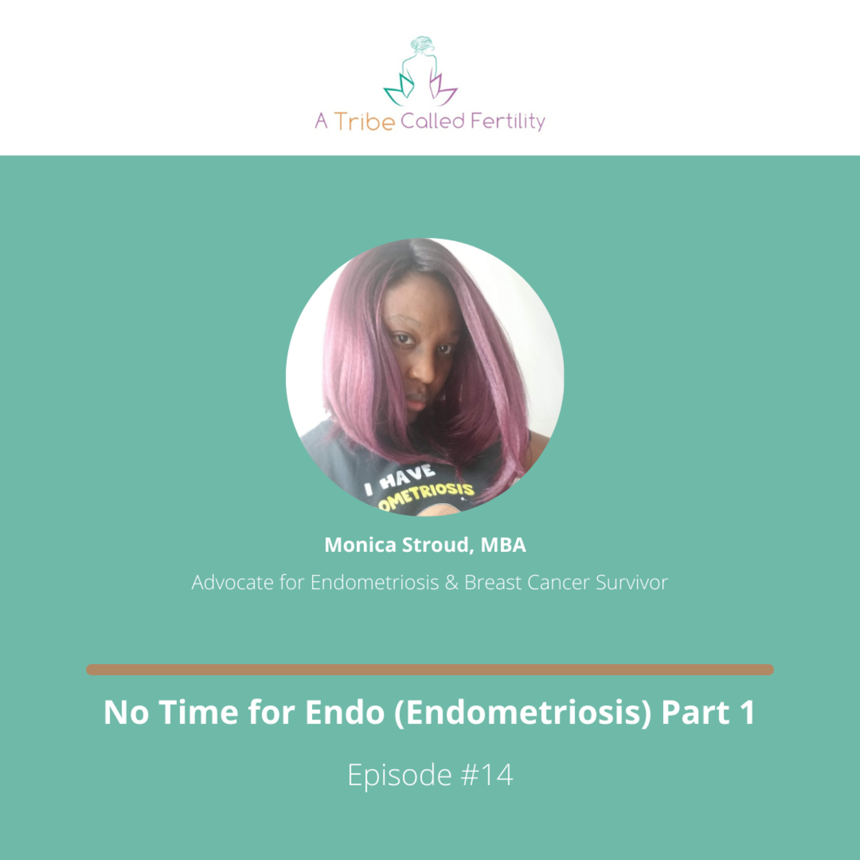 #14 No Time for Endo (Endometriosis) Part 1 with Monique Stroud episode artwork
