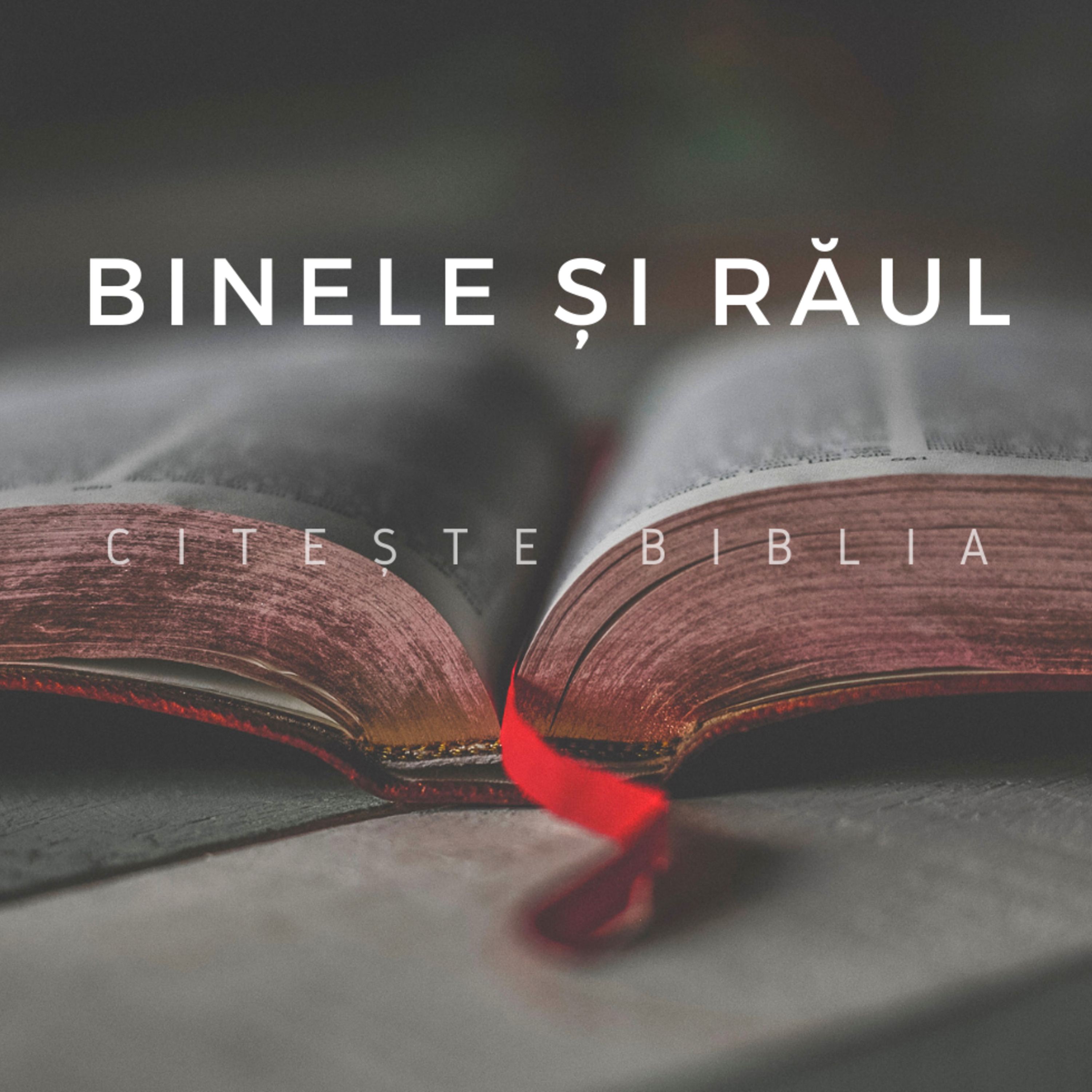 Citeste Biblia