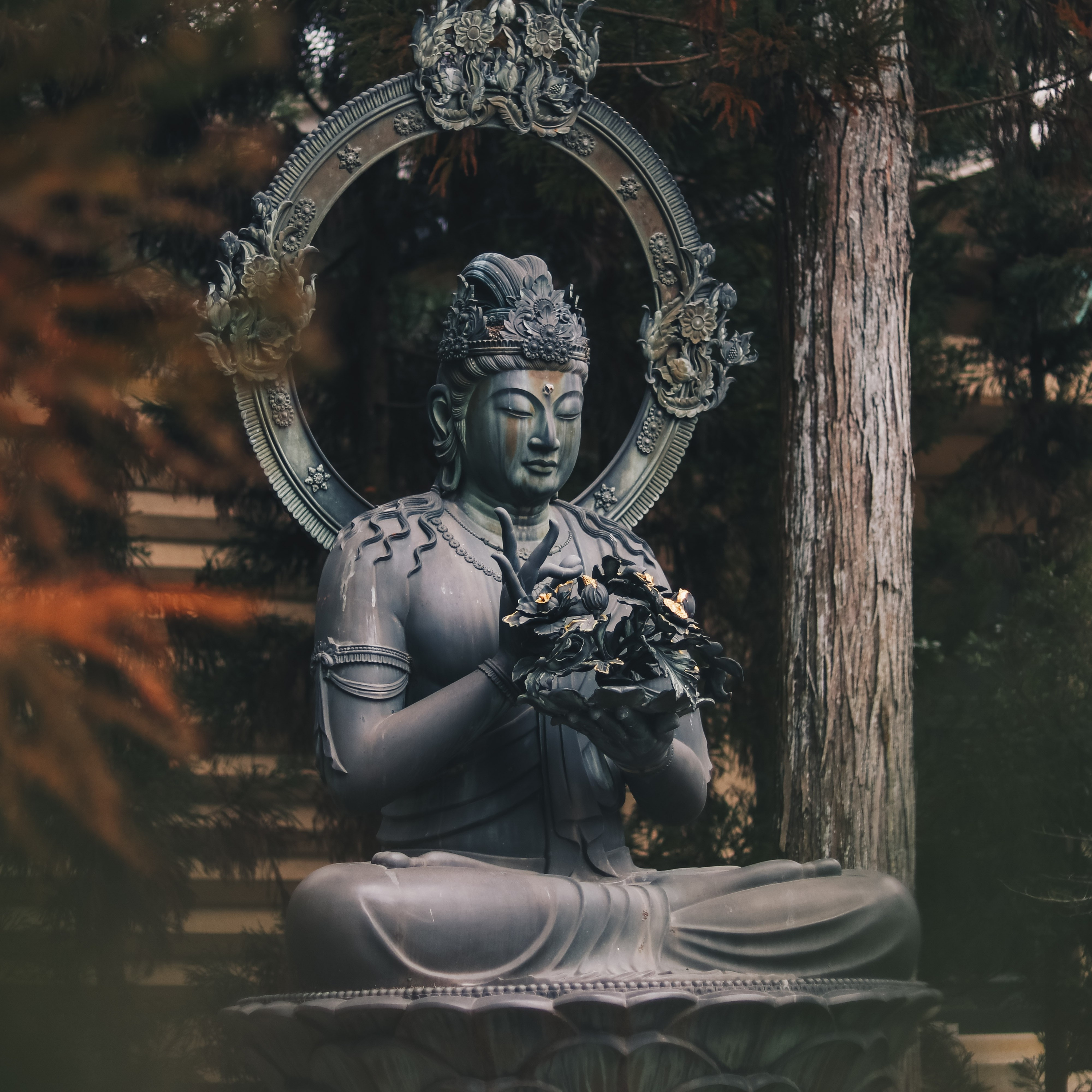 Contemplando al Buda Eterno - Parte 2 La Vida y las Enseñanzas del Buda Sakyamuni episode artwork