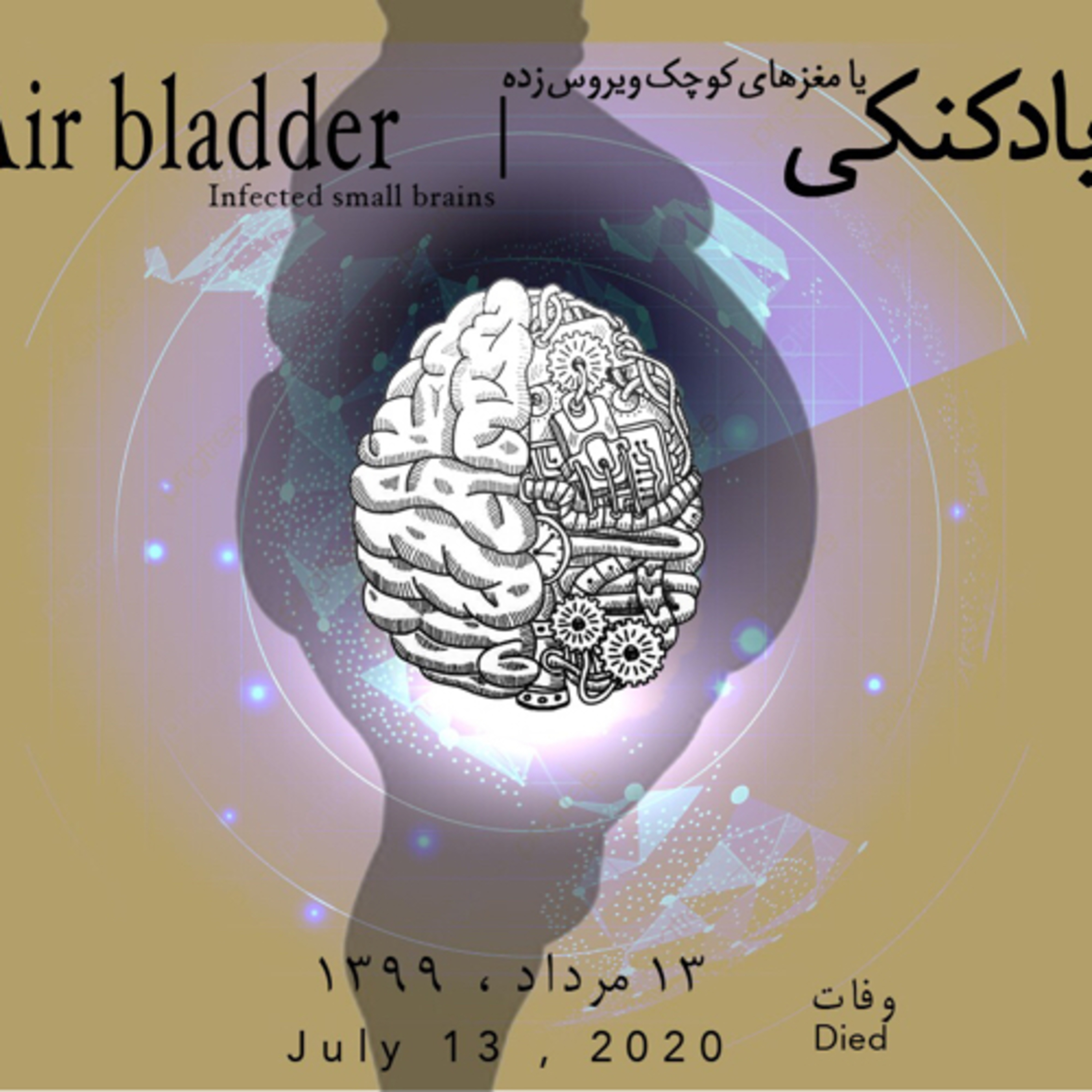 کاور بادکنکی|Air Bladder