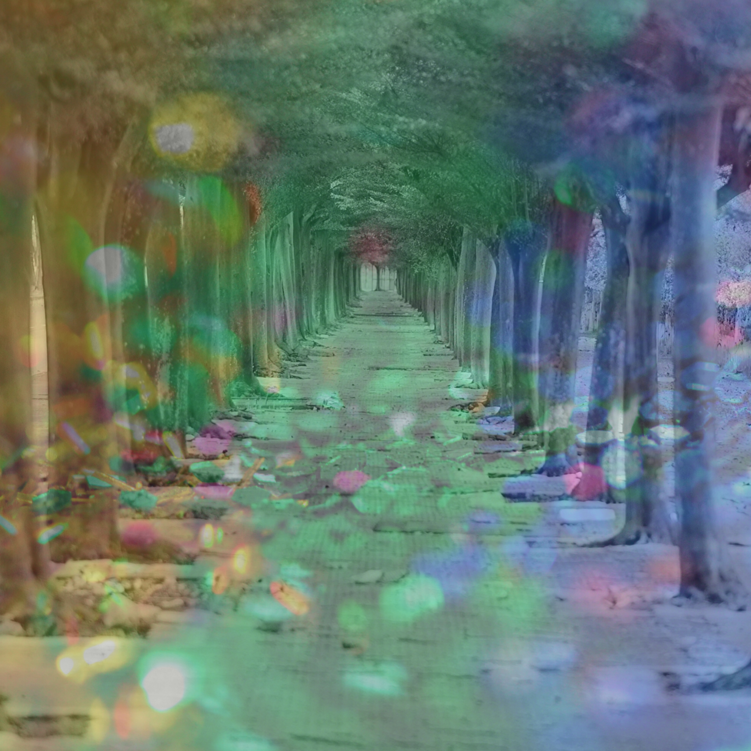 Mindful Creativity: Meditations