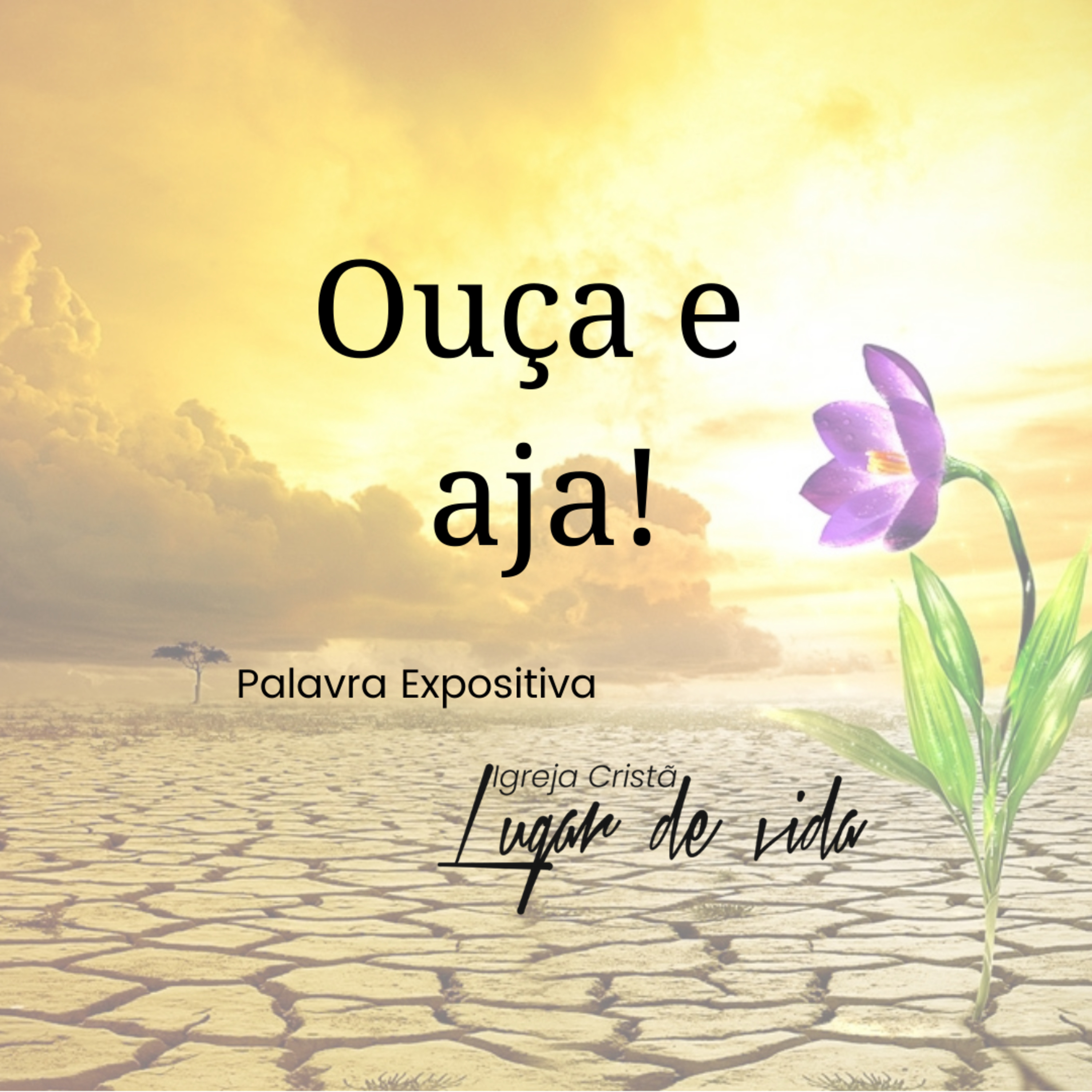 Igreja Lugar de Vida