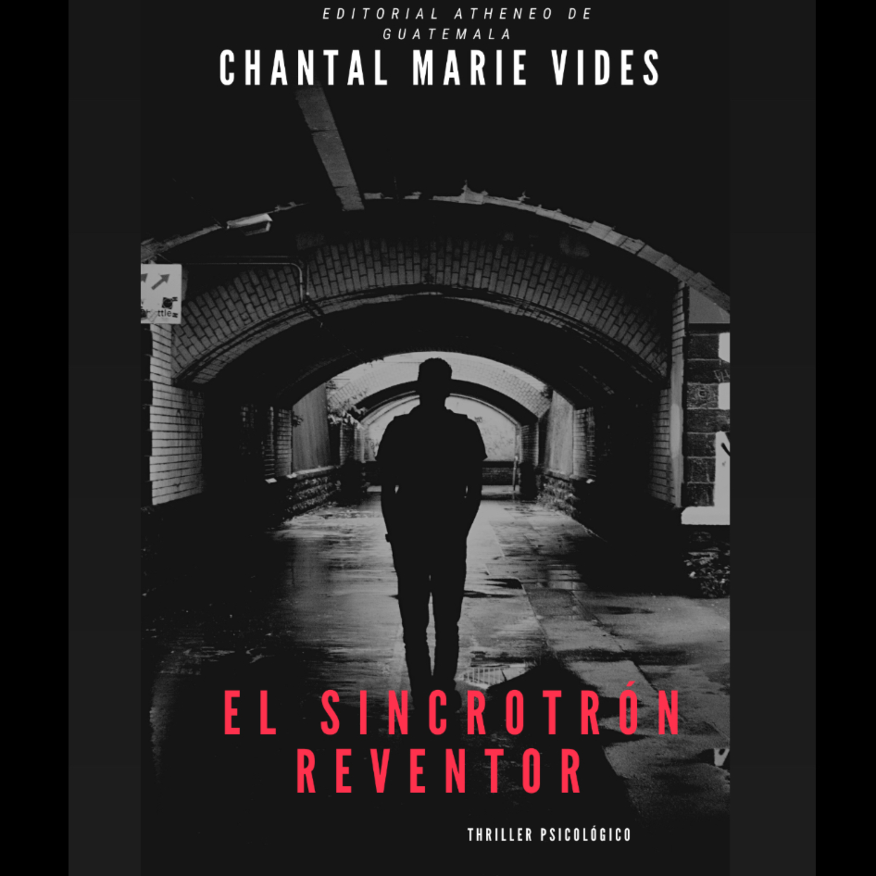 Poesía_sin_fin_Chantal Marie Vides