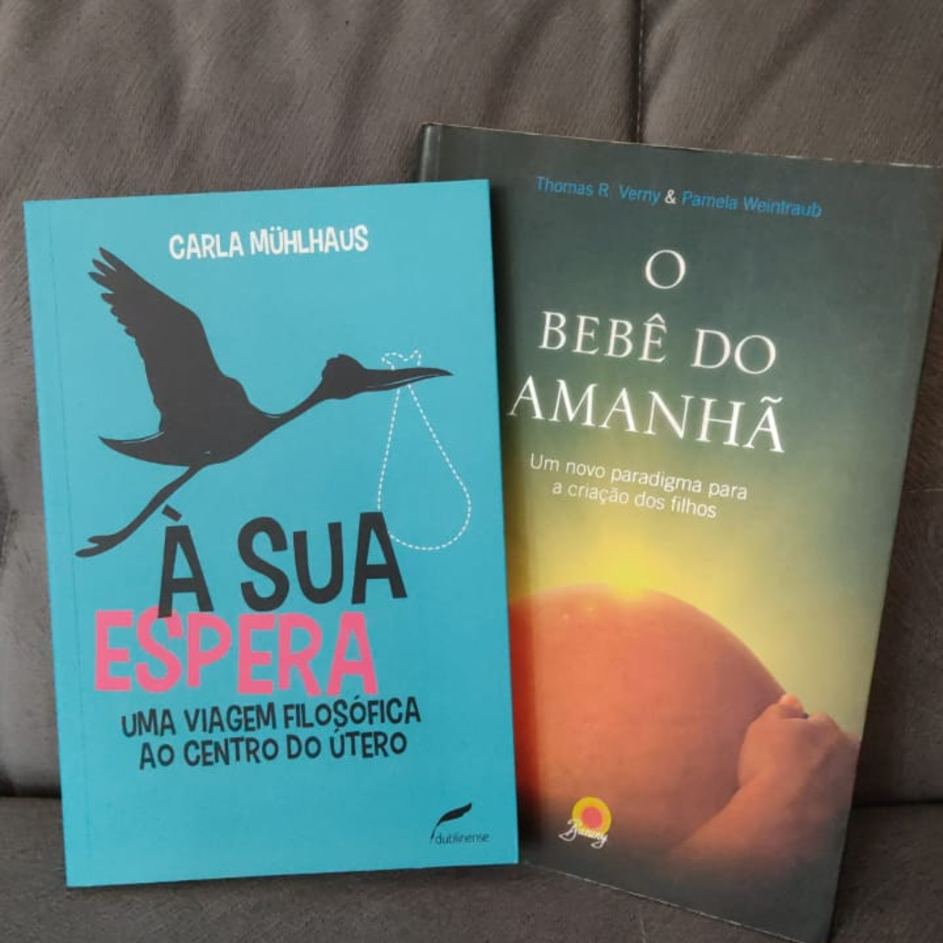 42 semanas