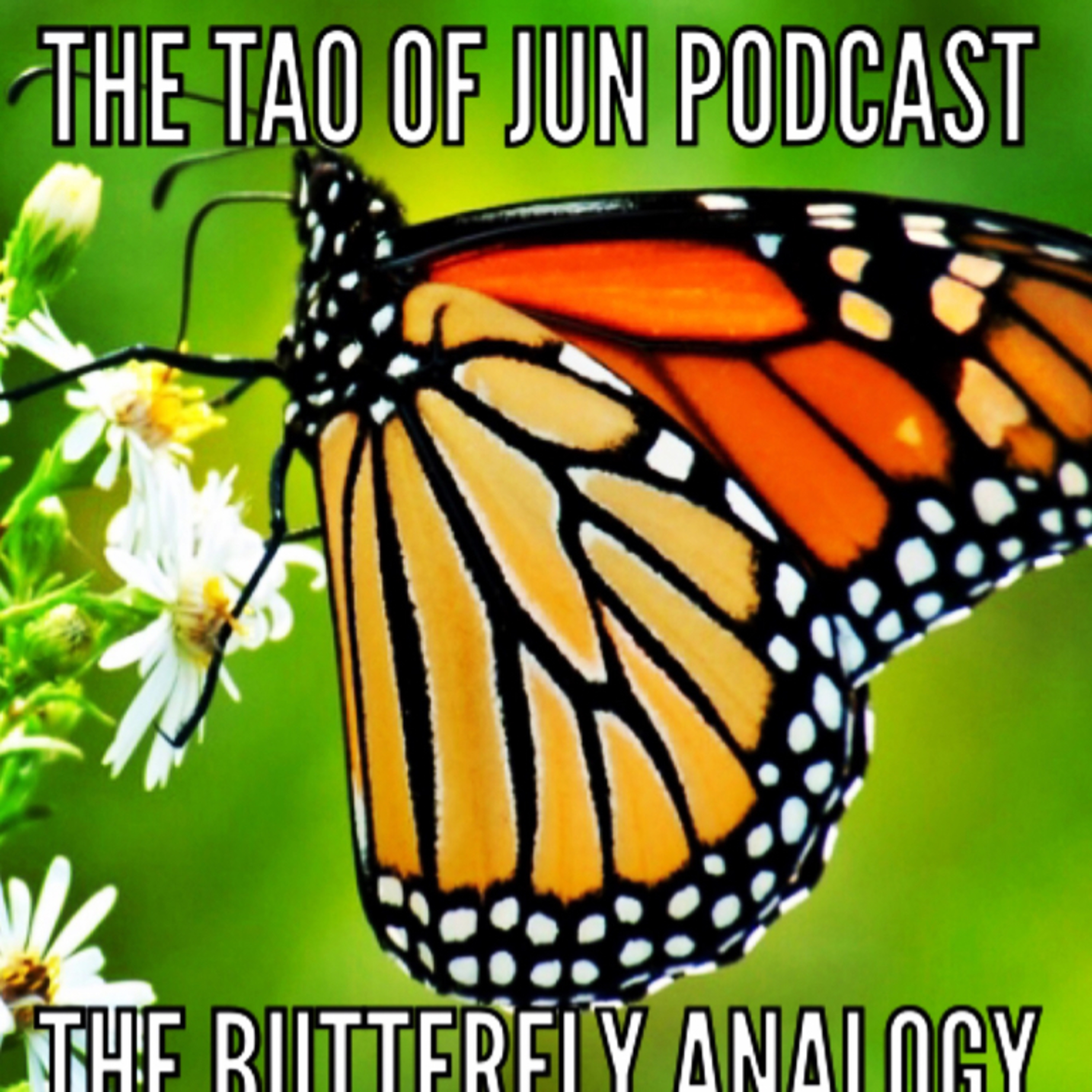 The Butterfly Analogy  episode artwork
