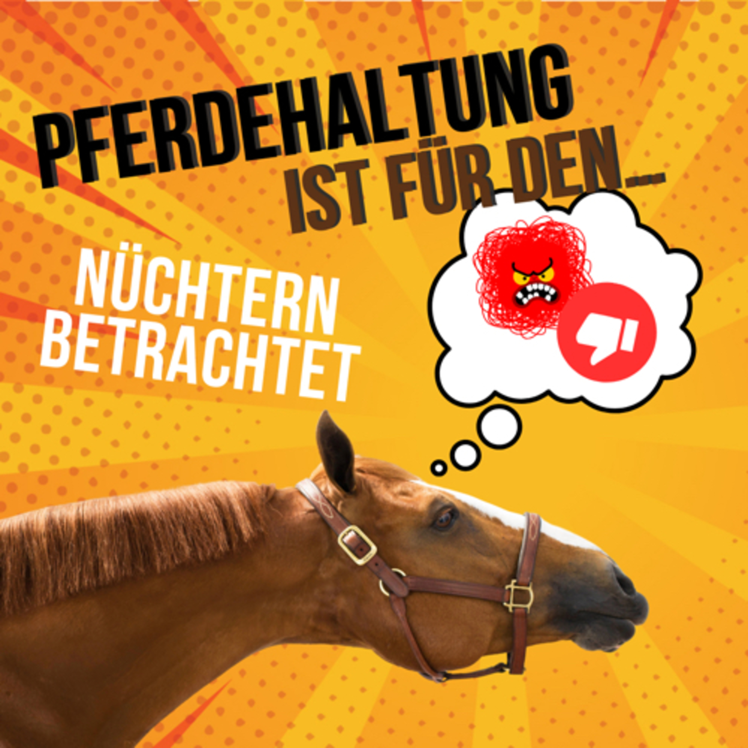 Klaudia Duif • Podcasts für Pferdefreunde