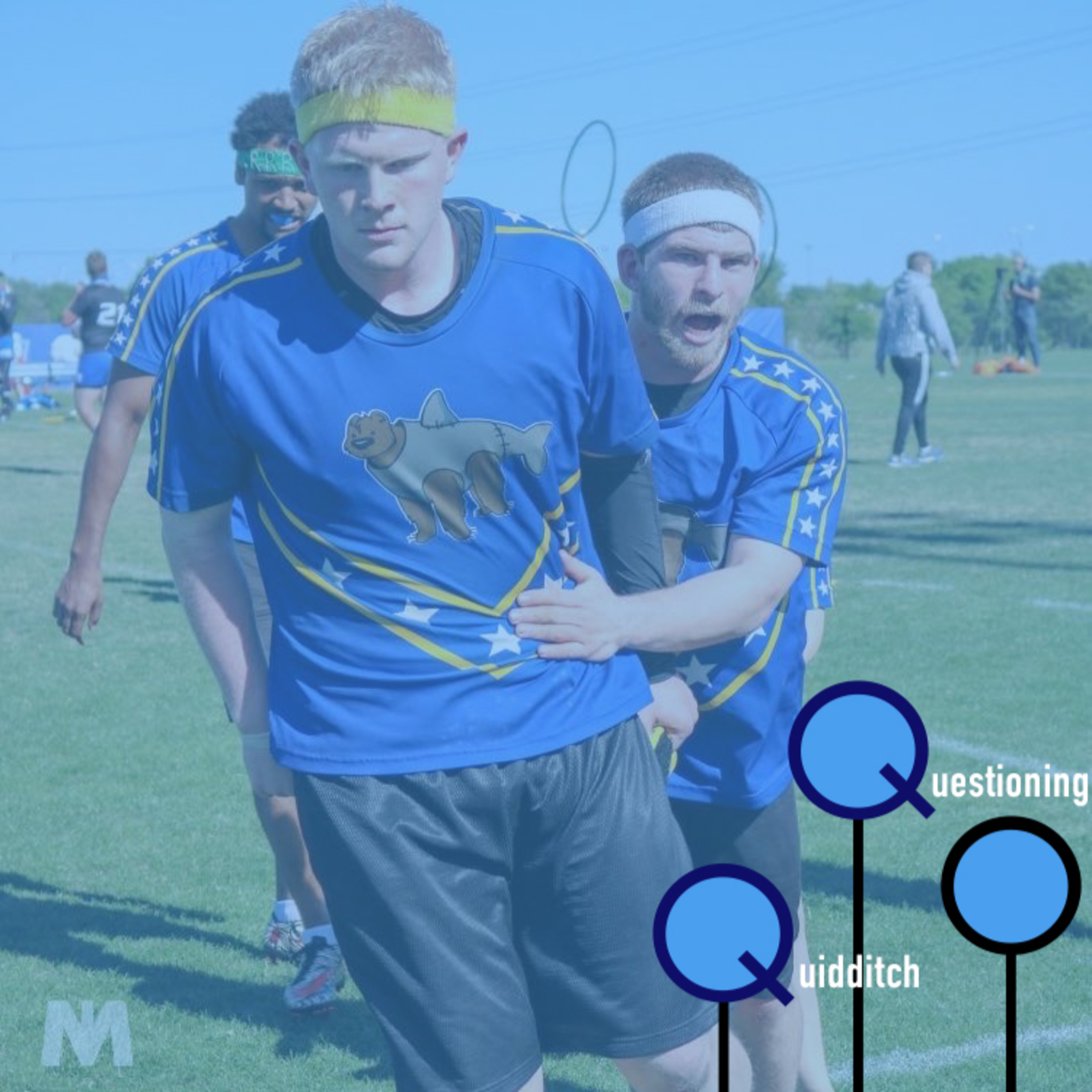 Questioning Quidditch