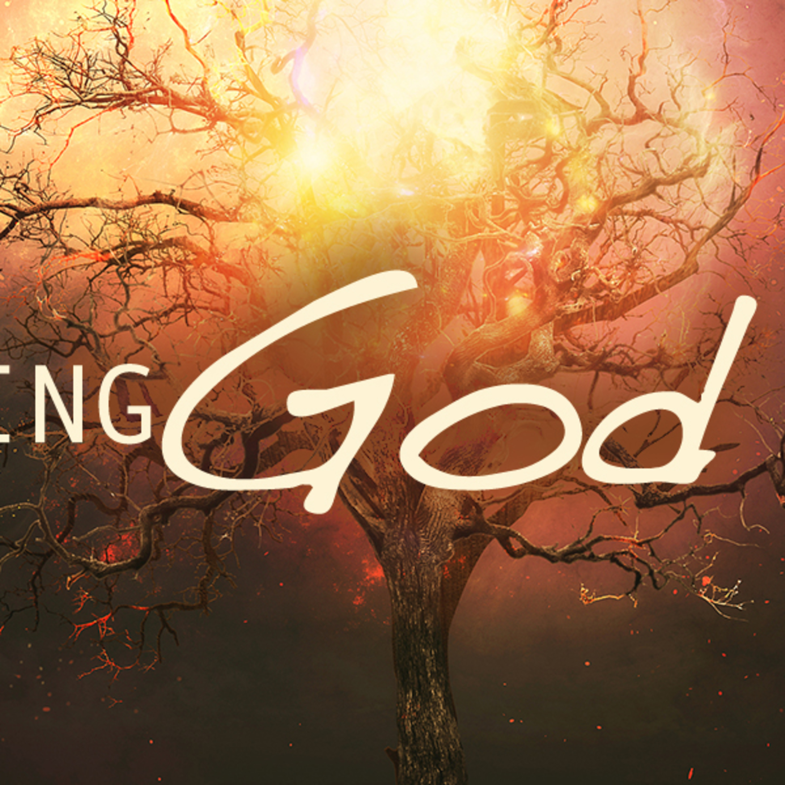 Experiencing God Week 8 episode artwork