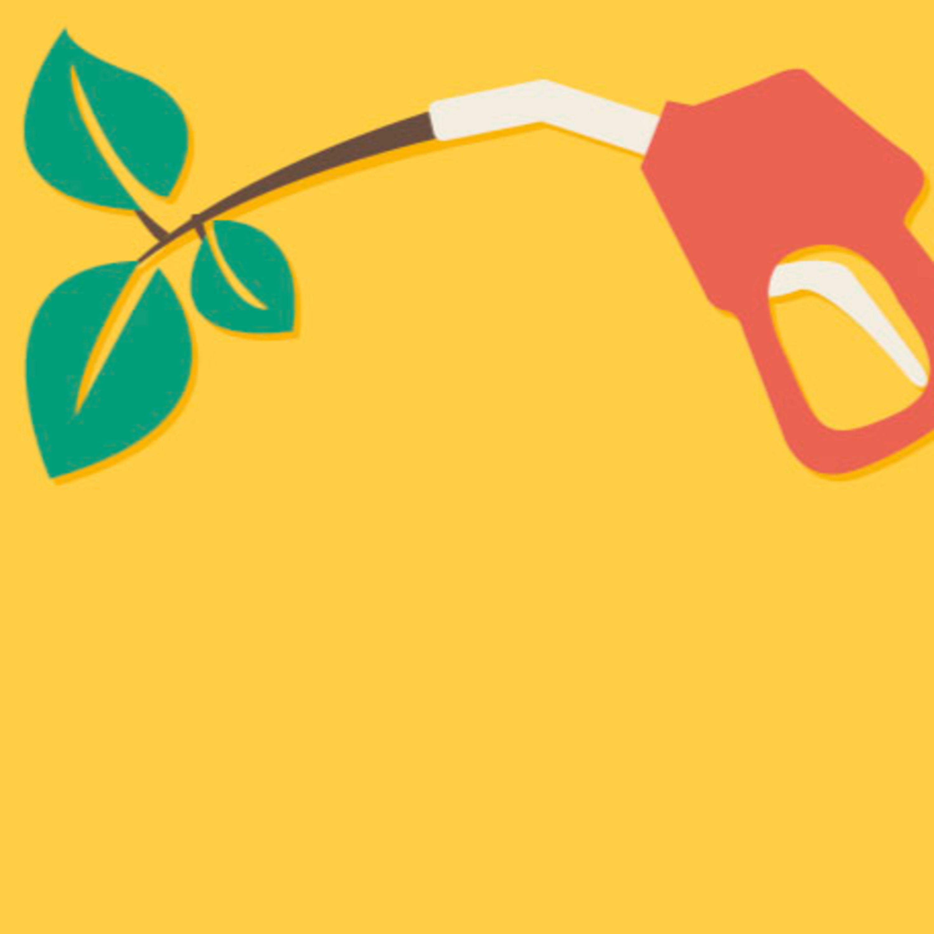 Biocombustíveis e sua importância ao meio ambiente