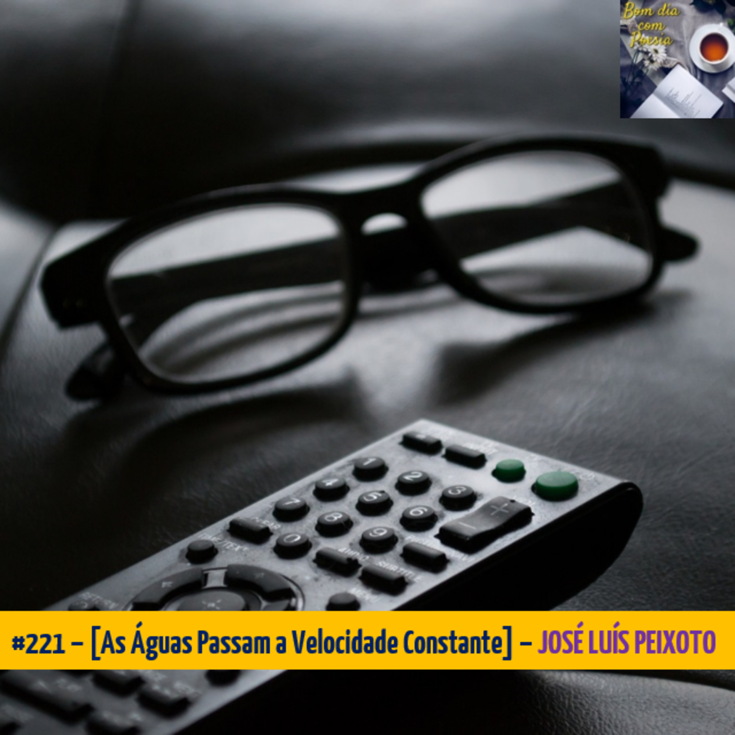 #221 – [AS ÁGUAS PASSAM A VELOCIDADE CONSTANTE] (JOSÉ LUÍS PEIXOTO) episode artwork