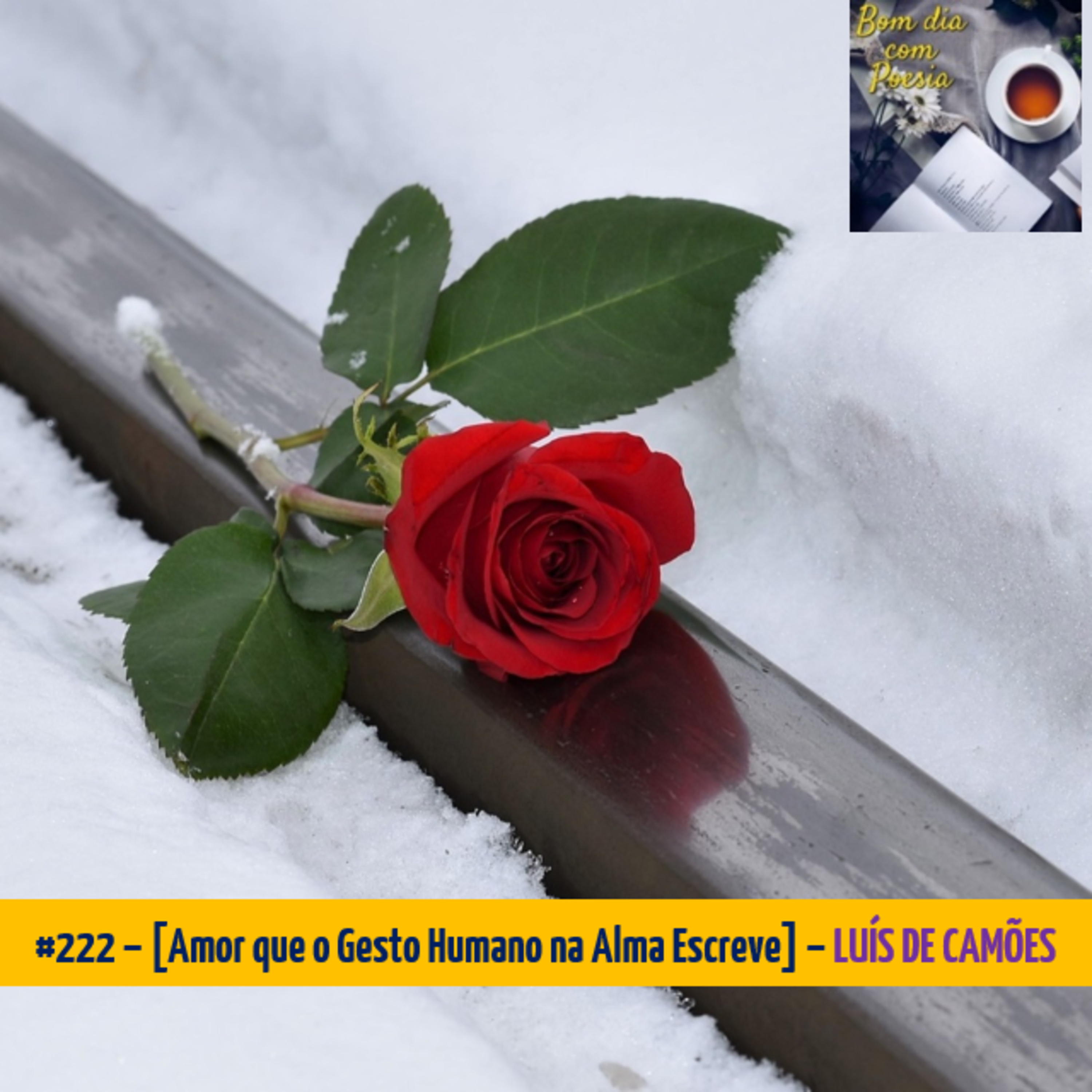 #222 – [AMOR QUE O GESTO HUMANO NA ALMA ESCREVE] (LUÍS DE CAMÕES) episode artwork