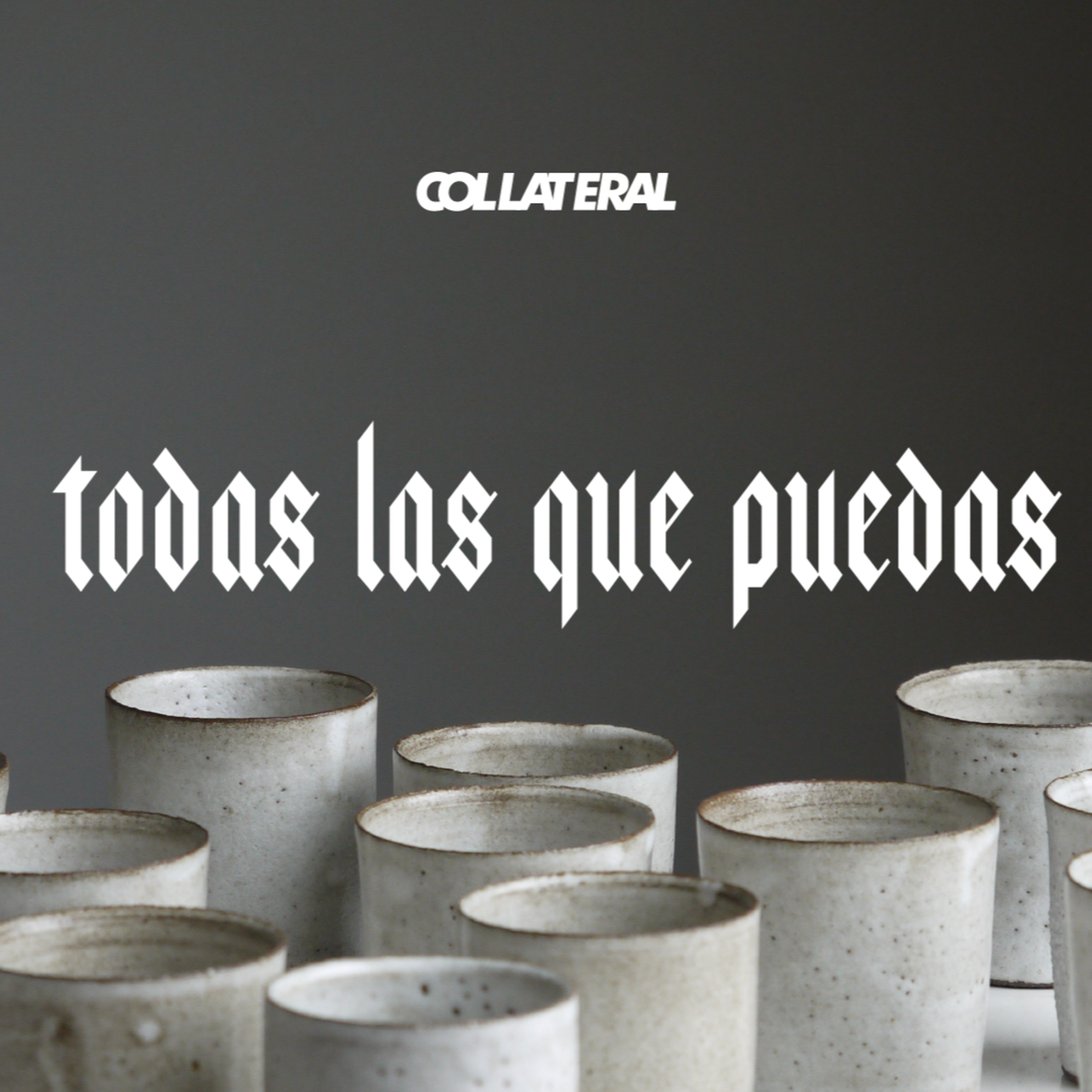 Todas las que puedas - Tamara Sanhueza