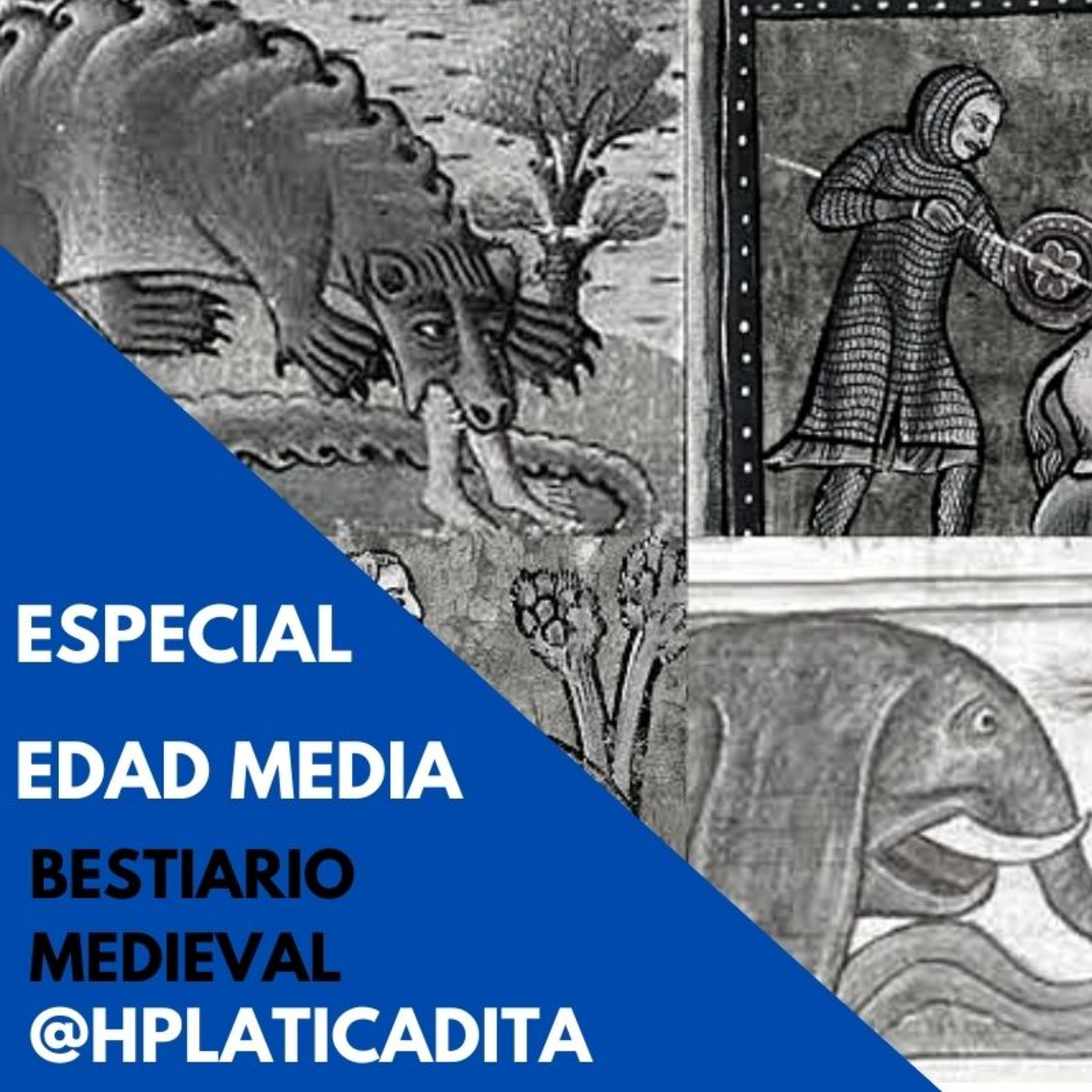 Historia Platicadita