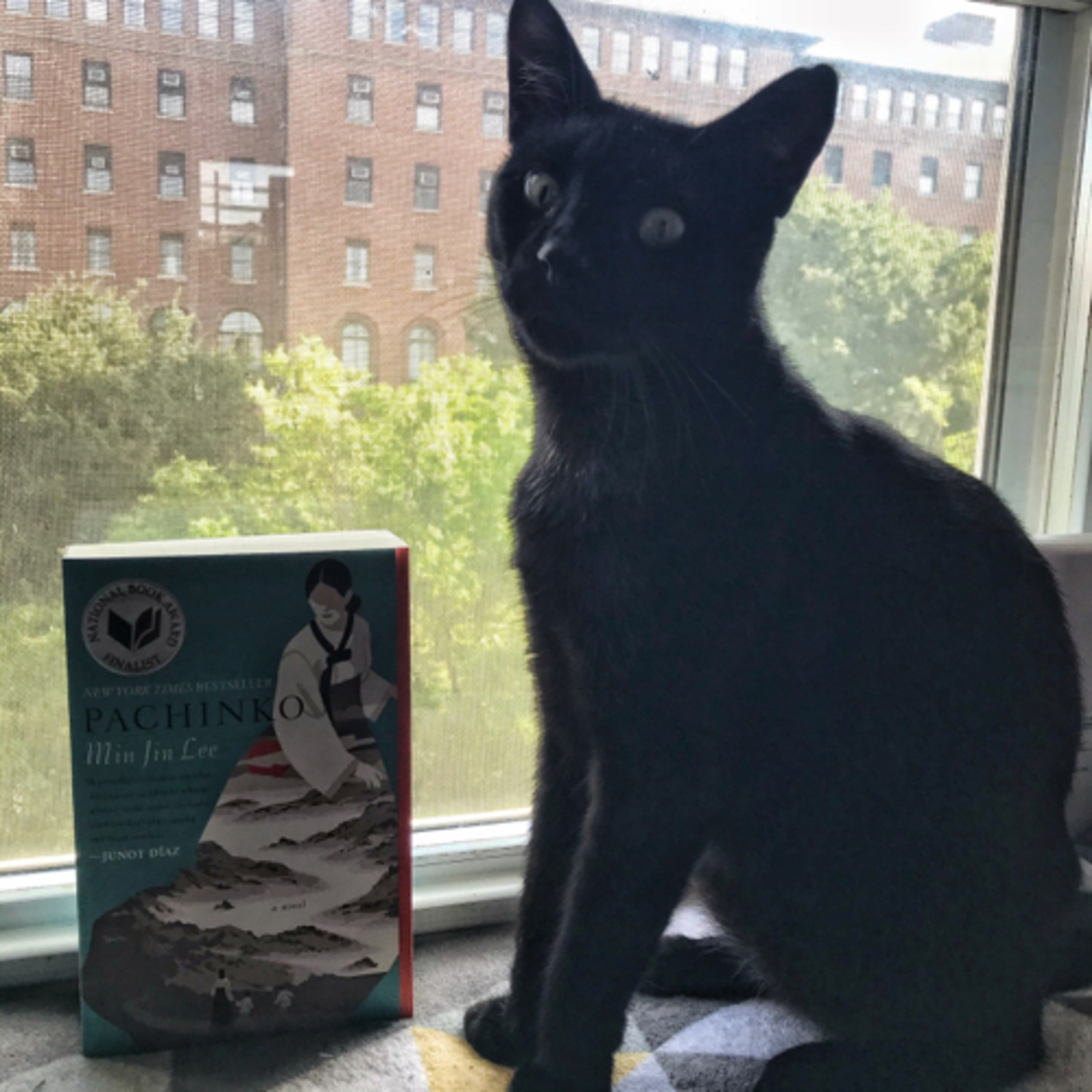 Buds, Books, & Booze