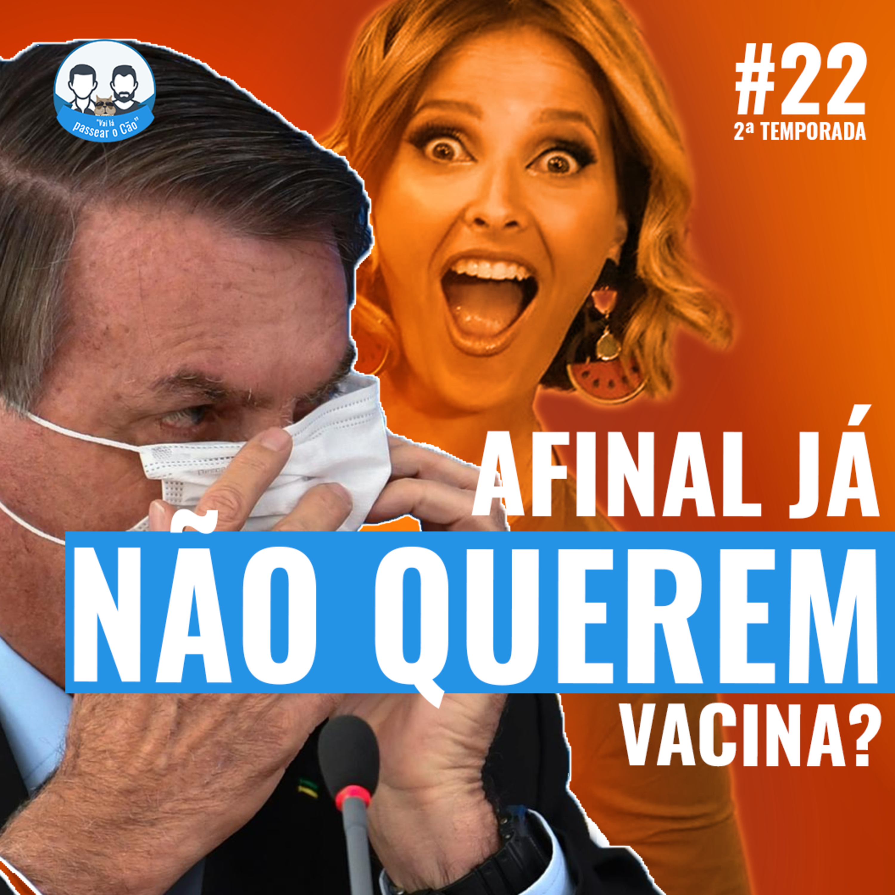 Vai lá passear o cão