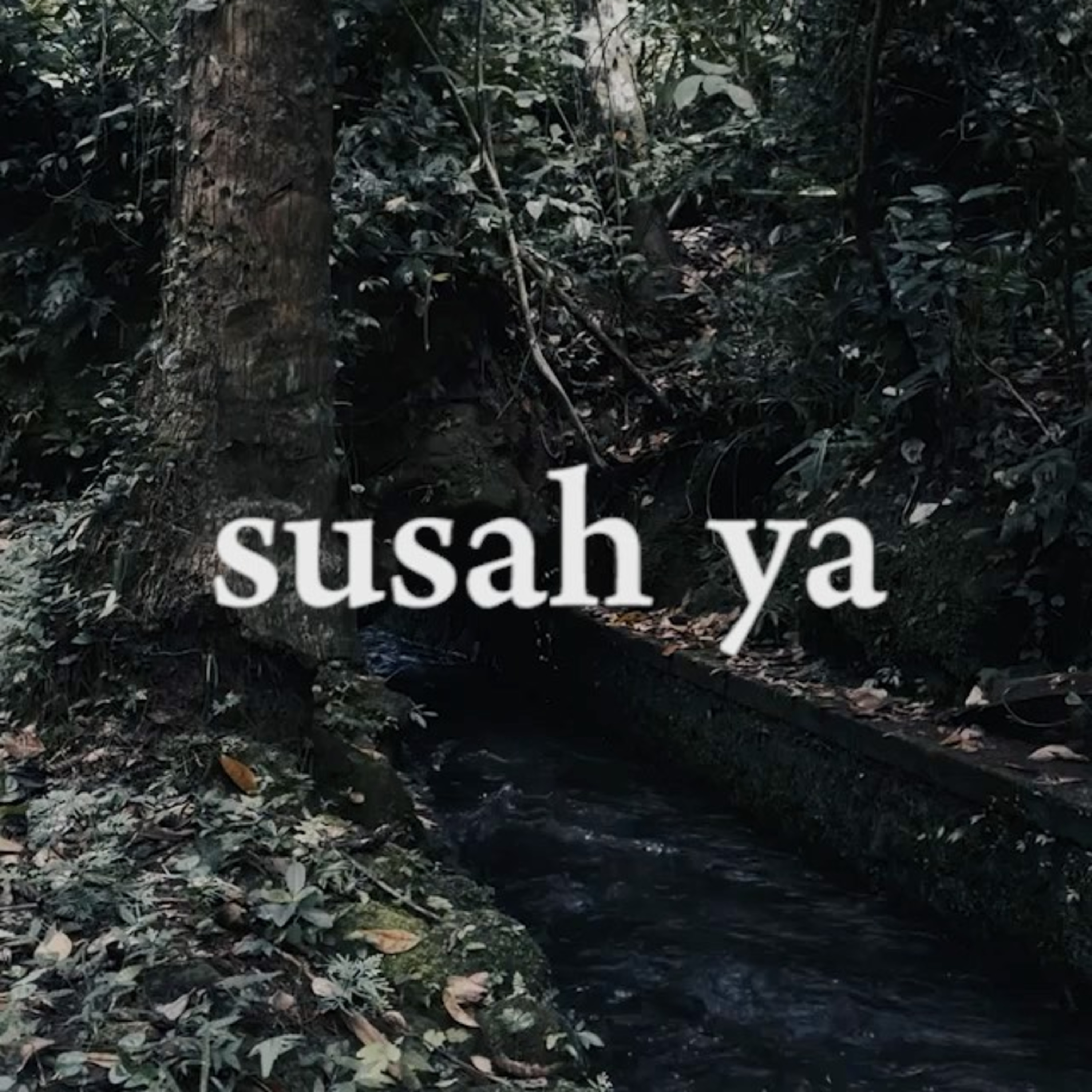 pukul dua malam